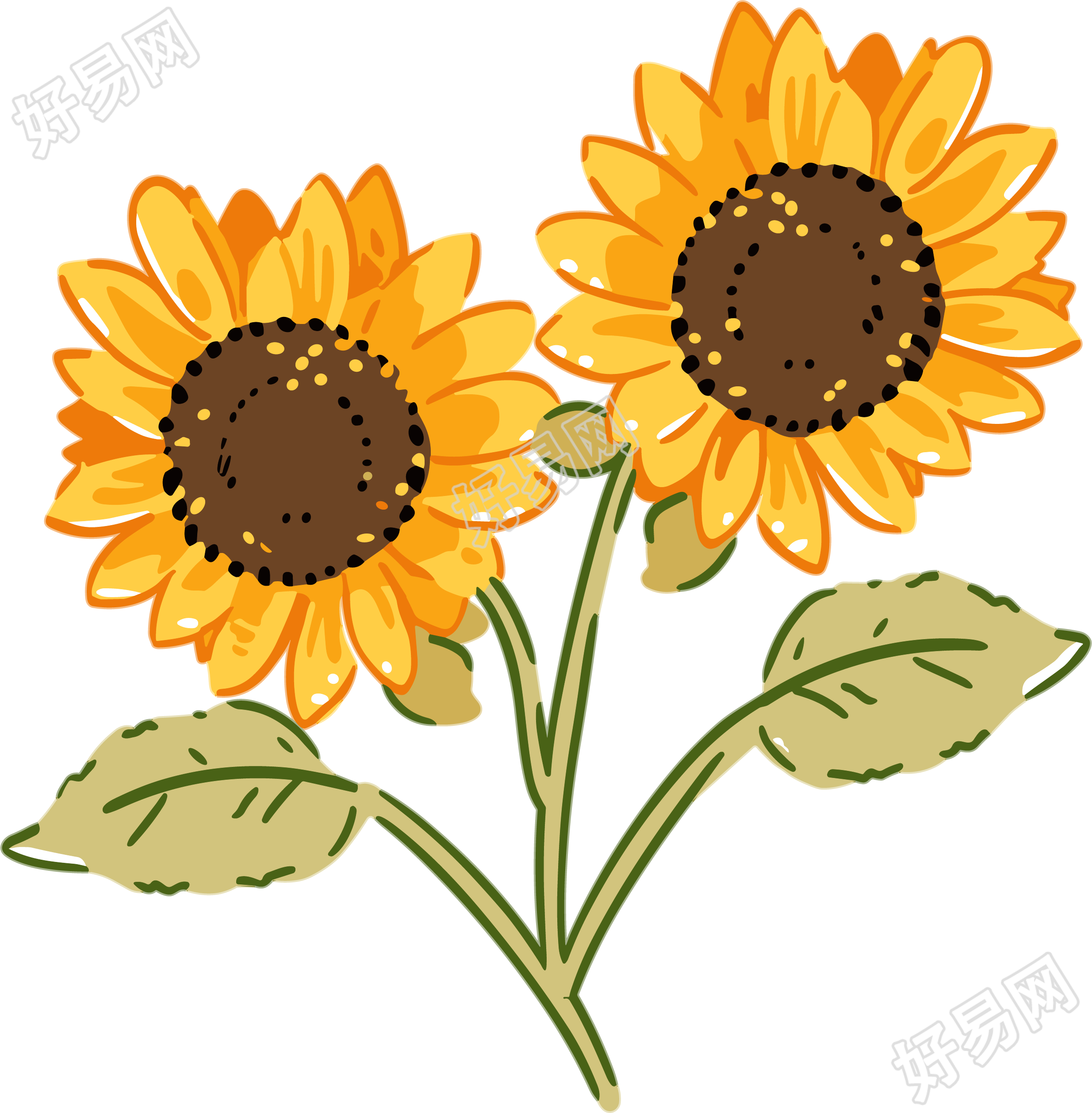 花朵高清质量插画