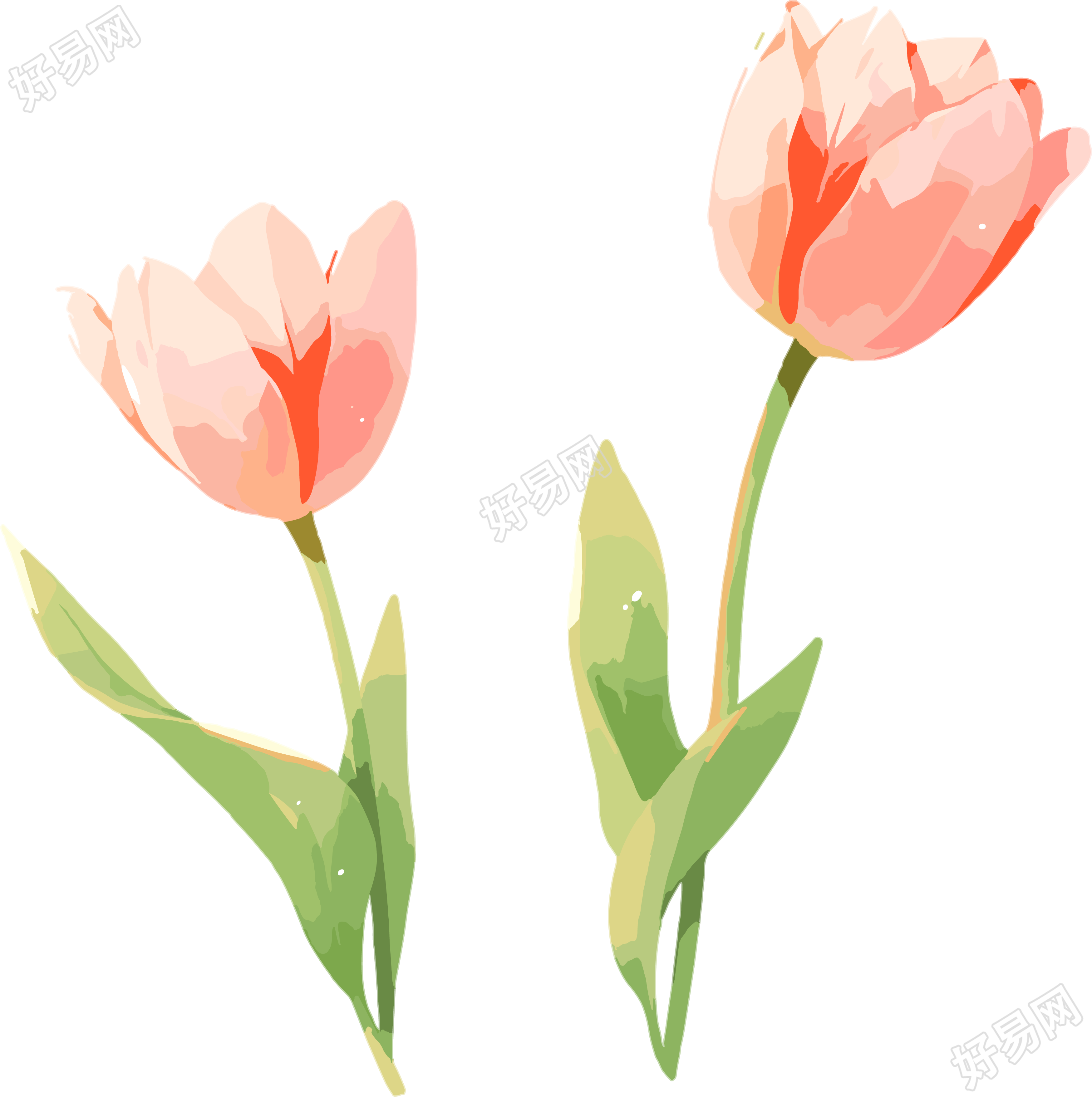 花朵插画设计素材