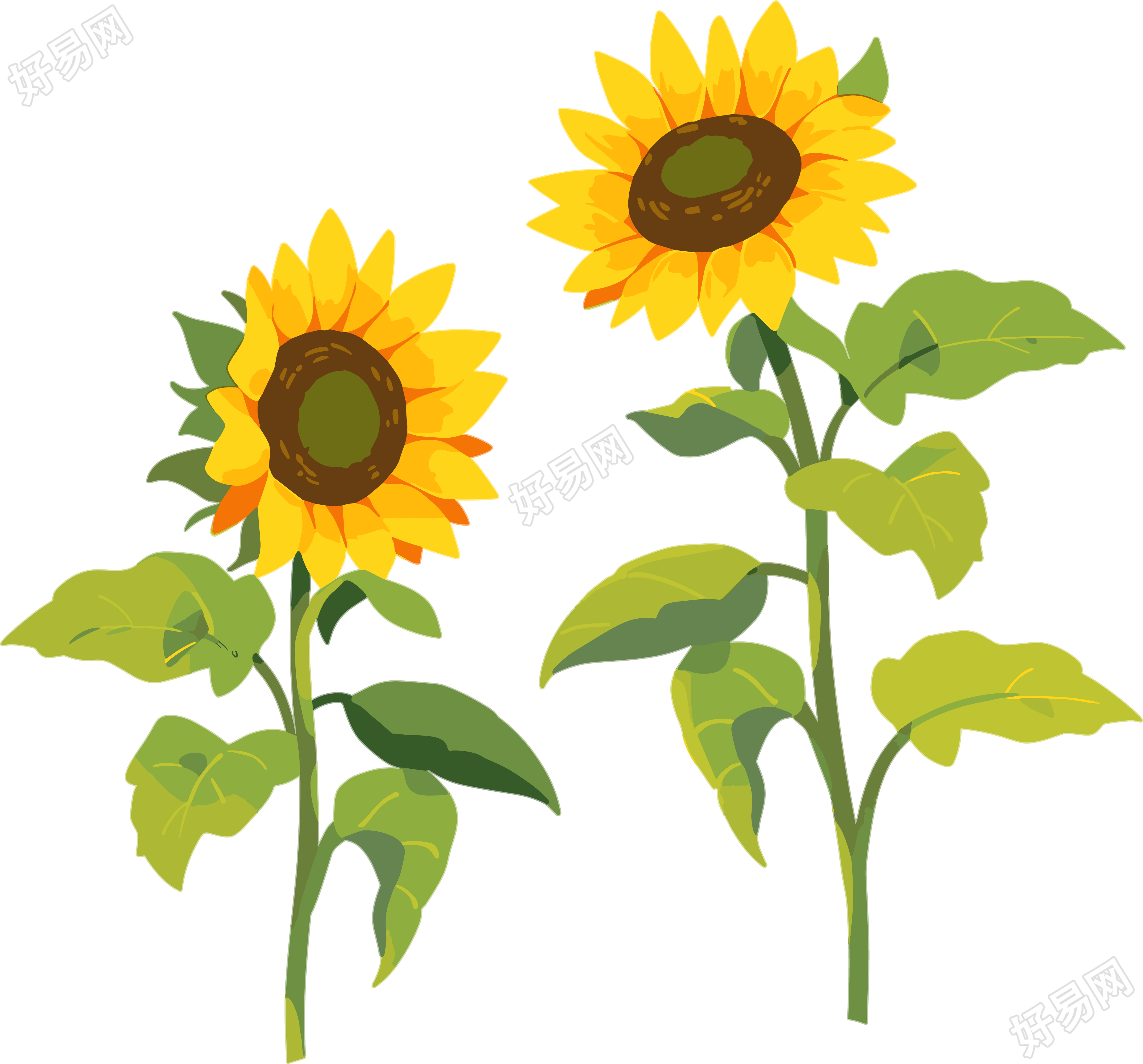花朵商业设计元素