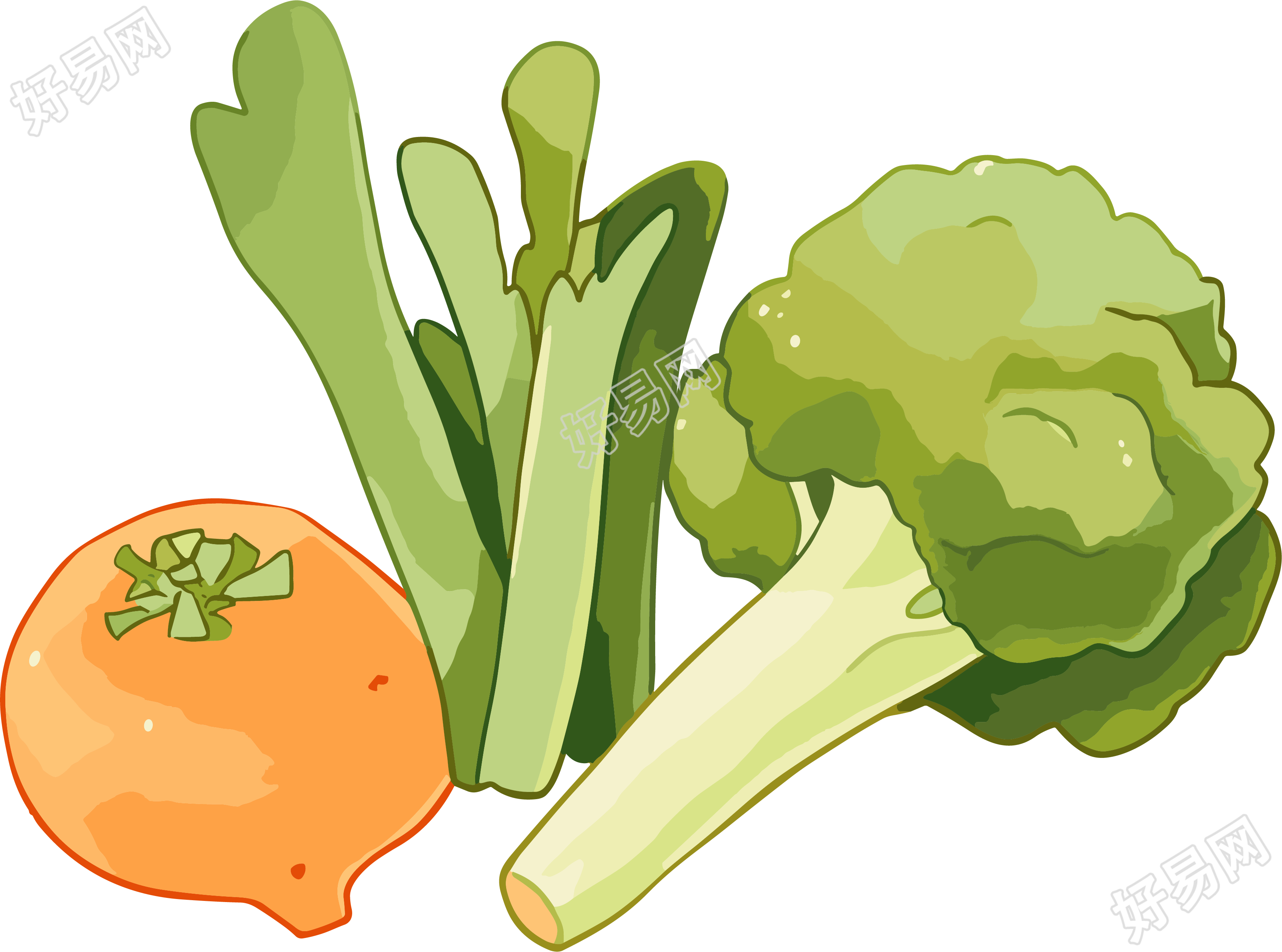 蔬菜水果卡通插图