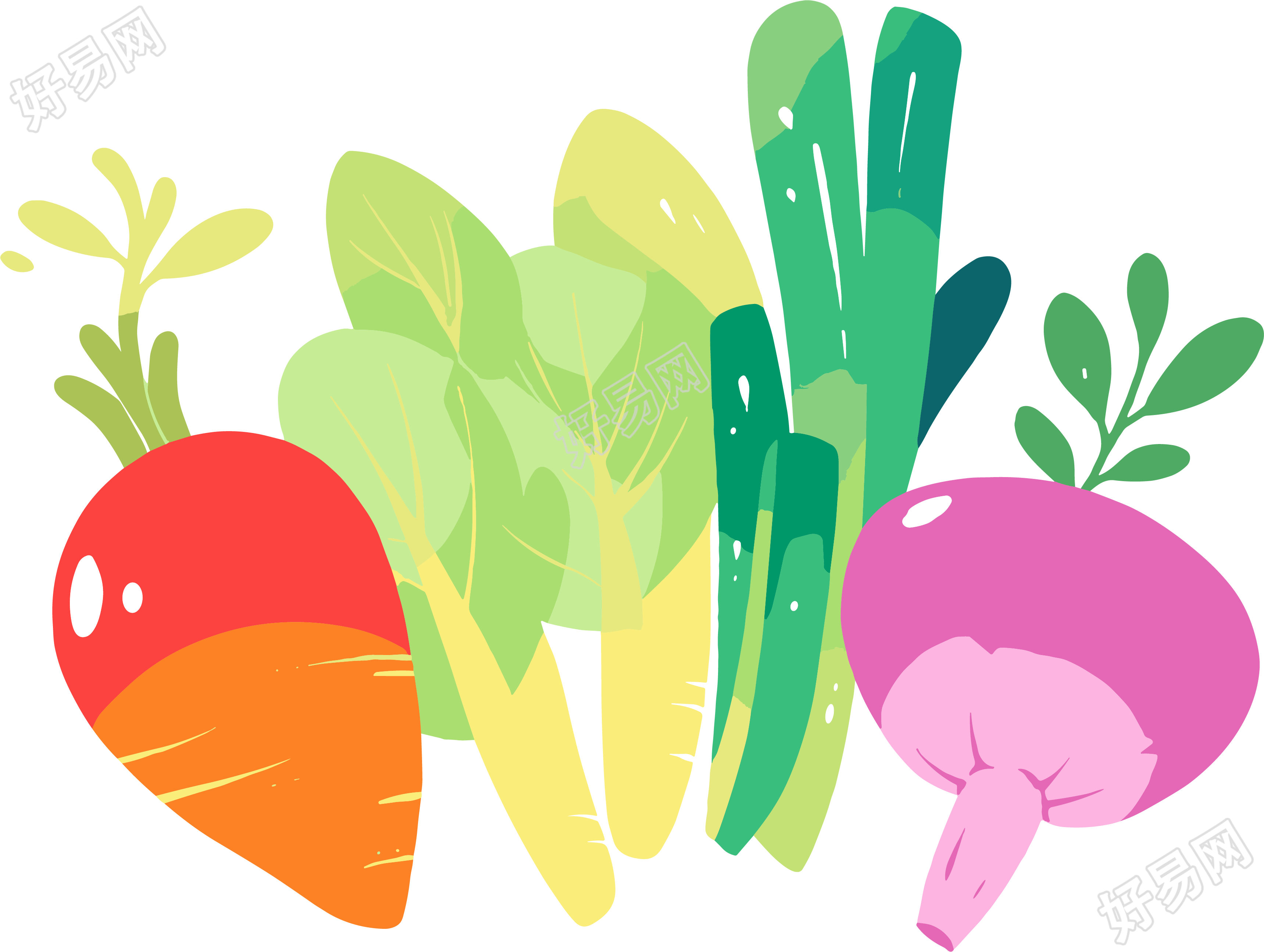 蔬菜水果卡通创意设计插图