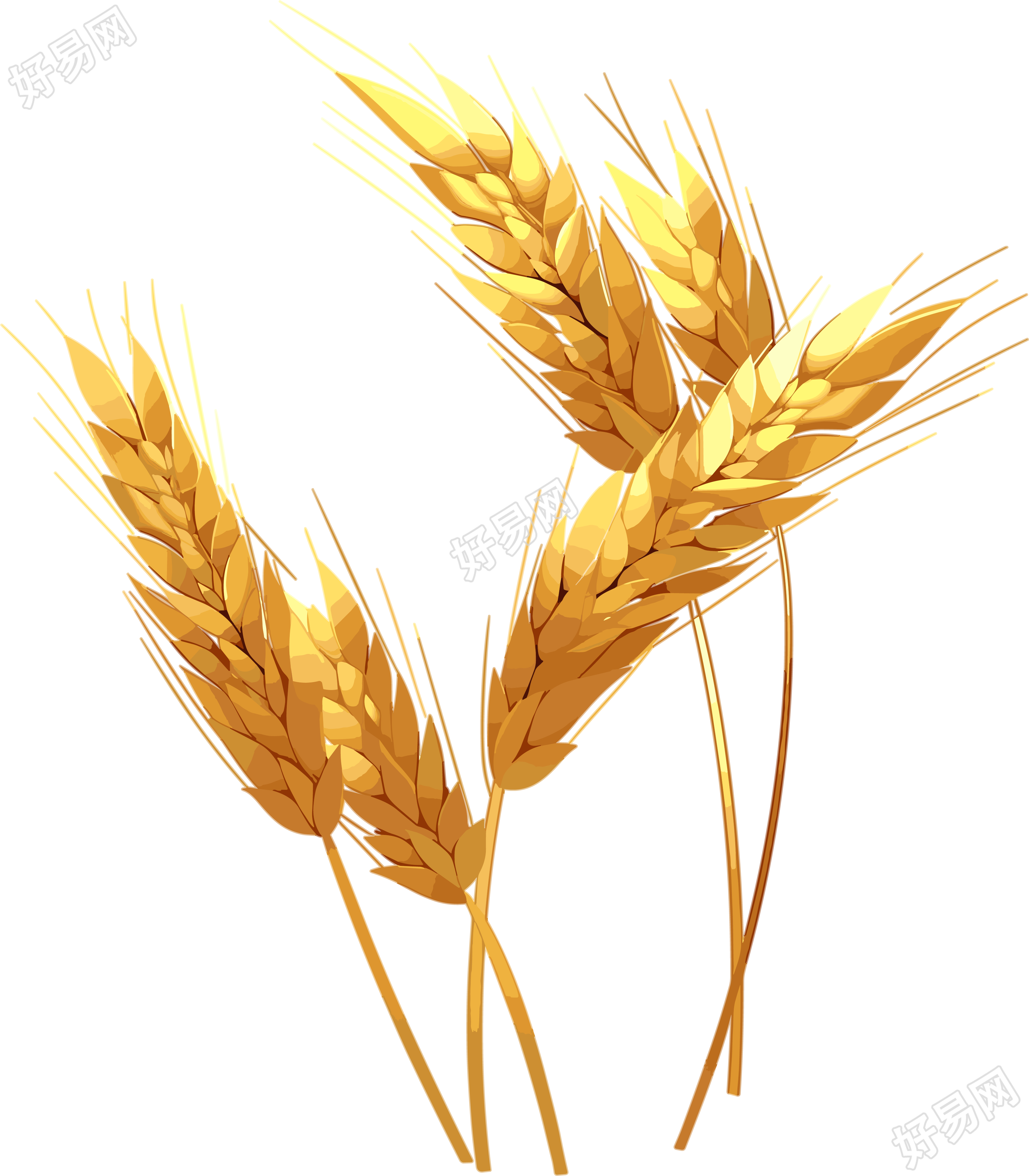 稻子简约扁平插图