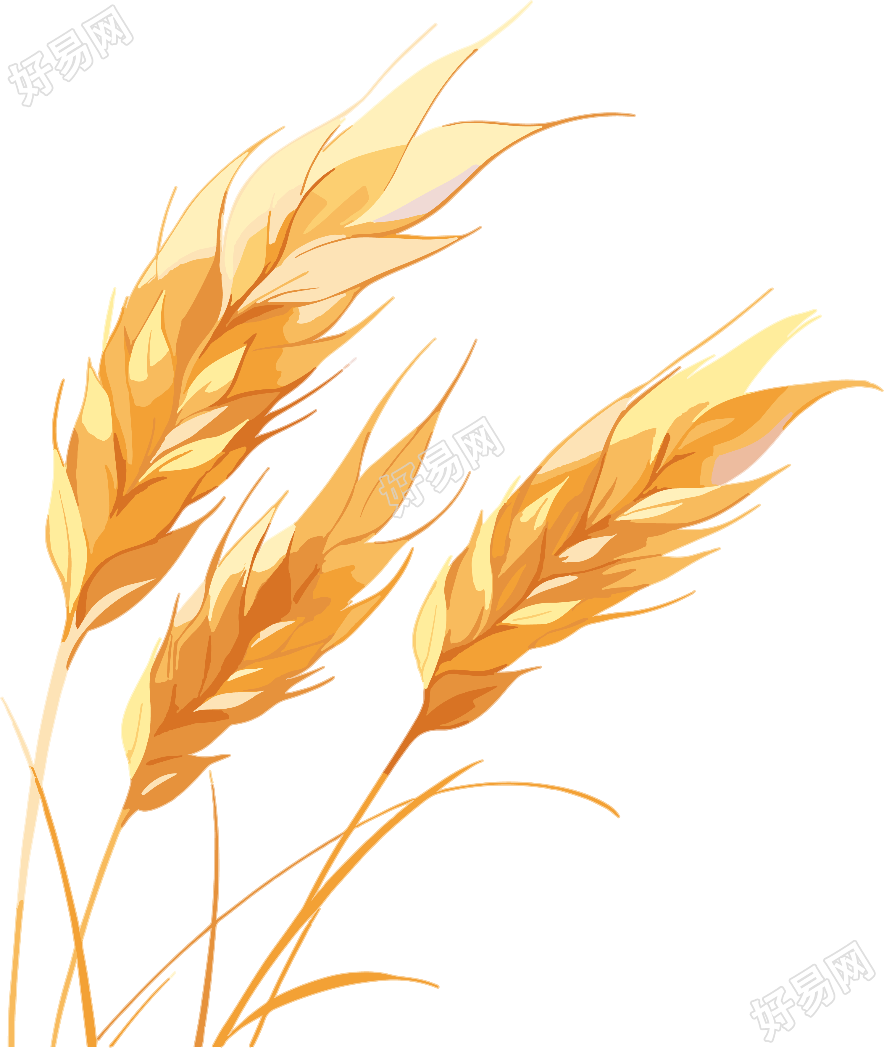 麦穗设计插画