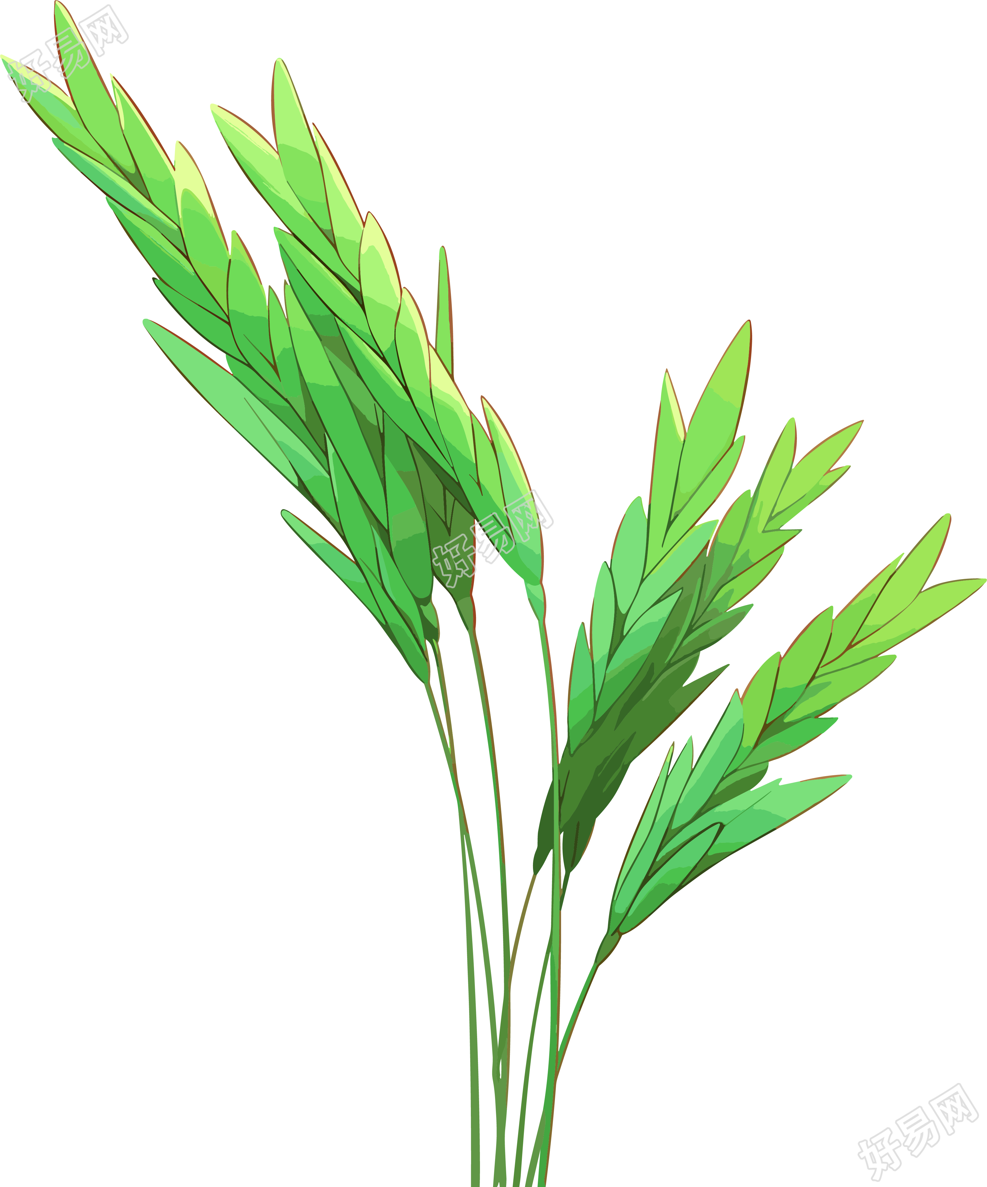 麦穗可商用素材
