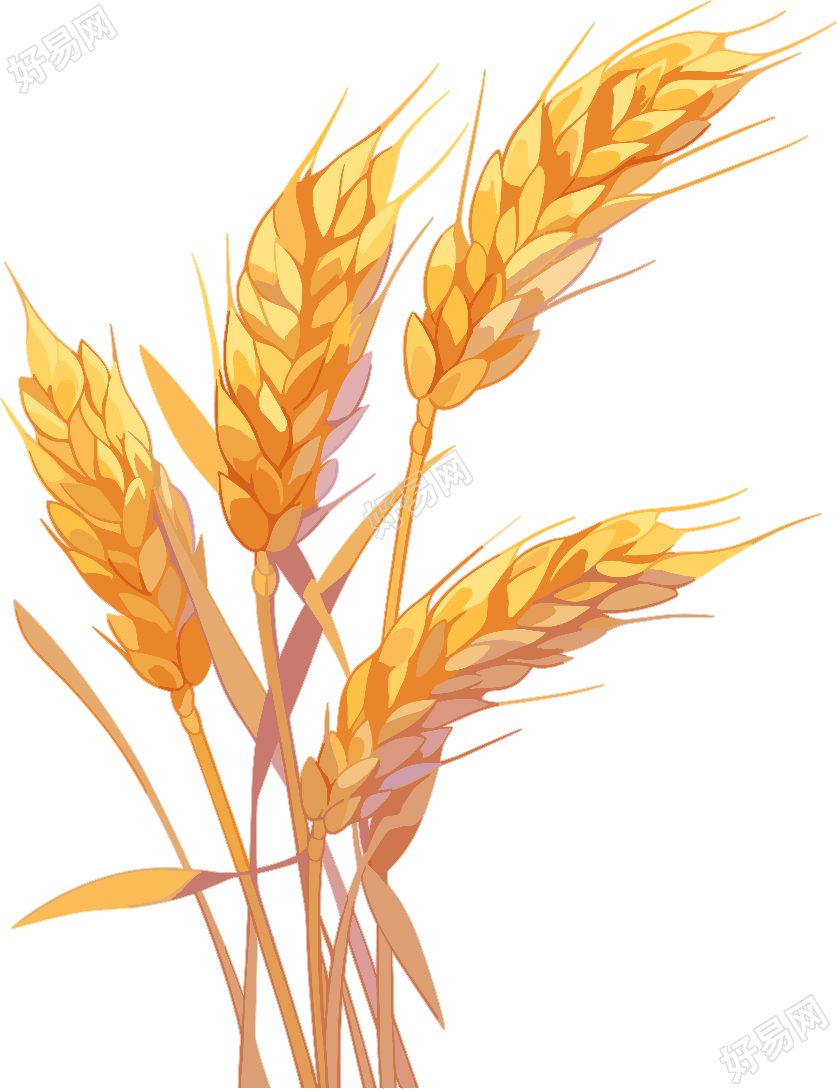 麦穗商业创意插图