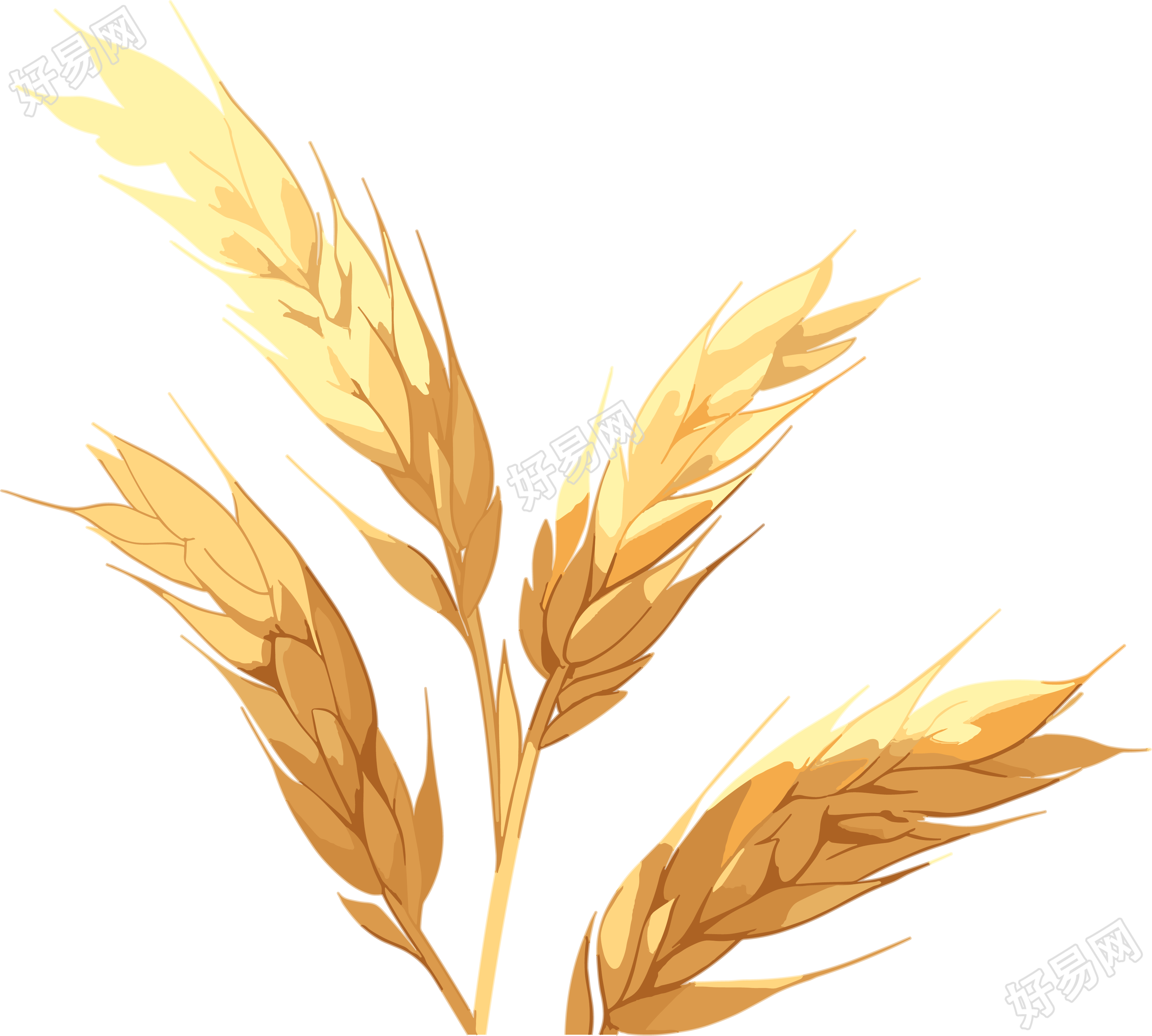 麦穗简单设计插画