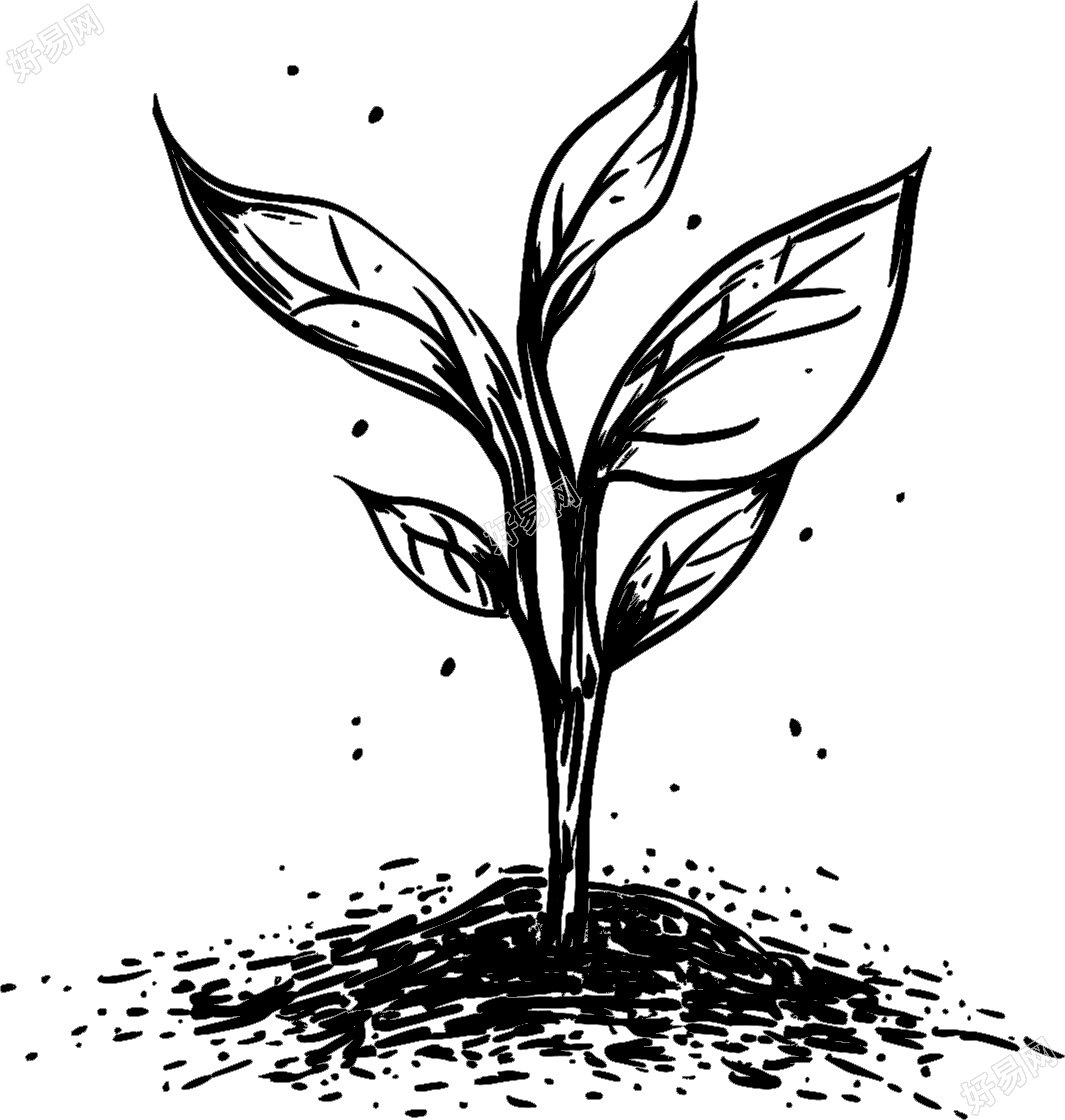 种子透明背景插画