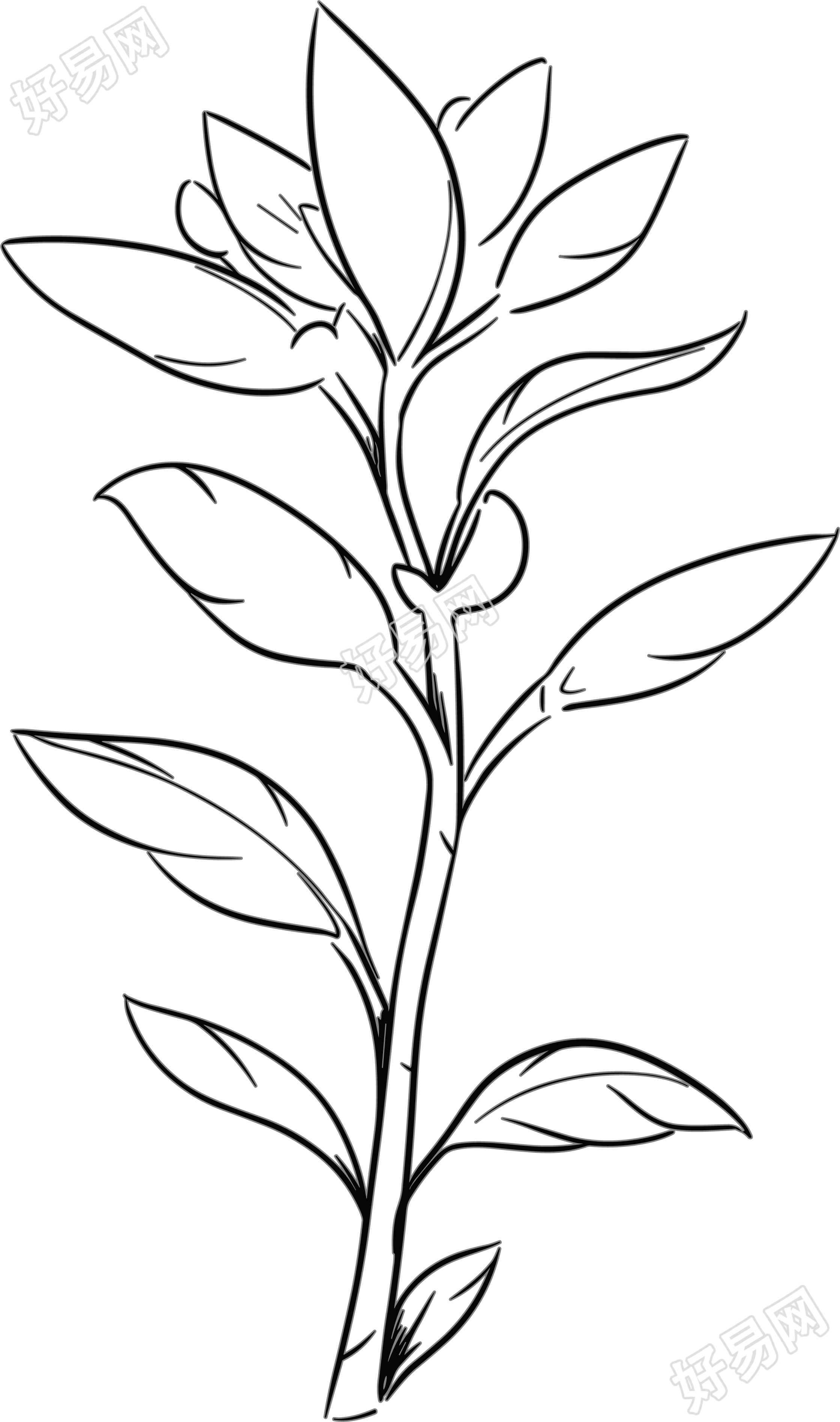 植树节画画作品简笔画