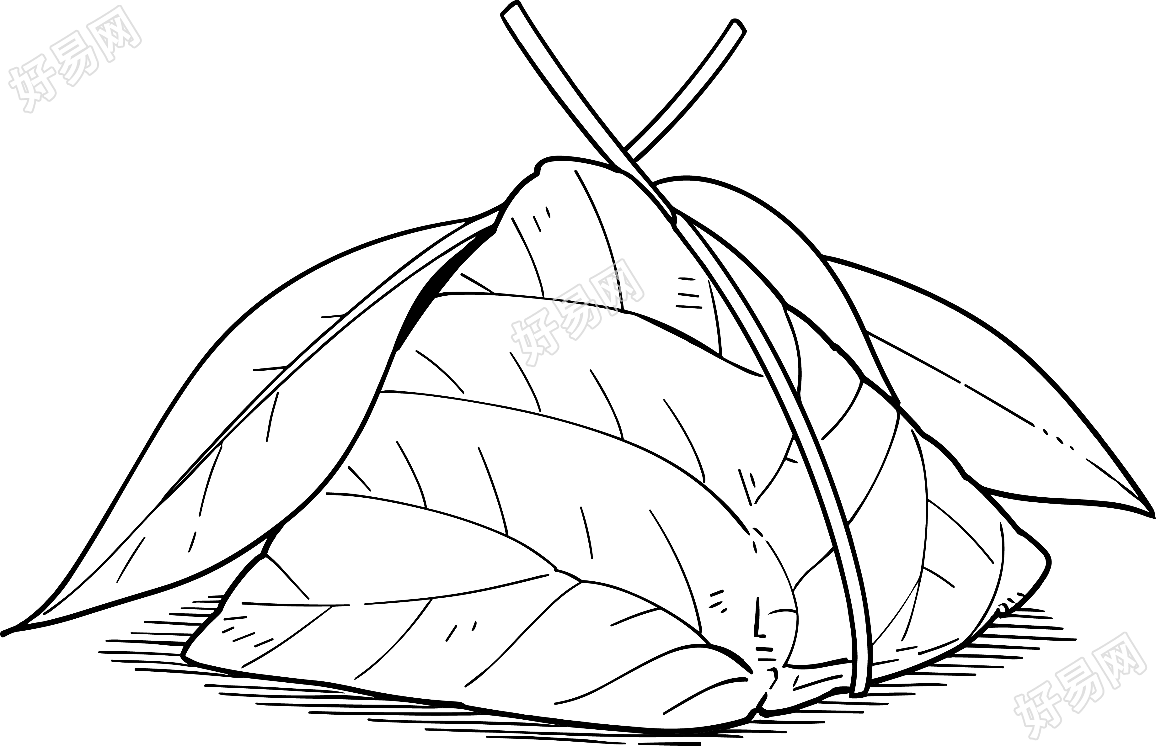 简笔画粽子