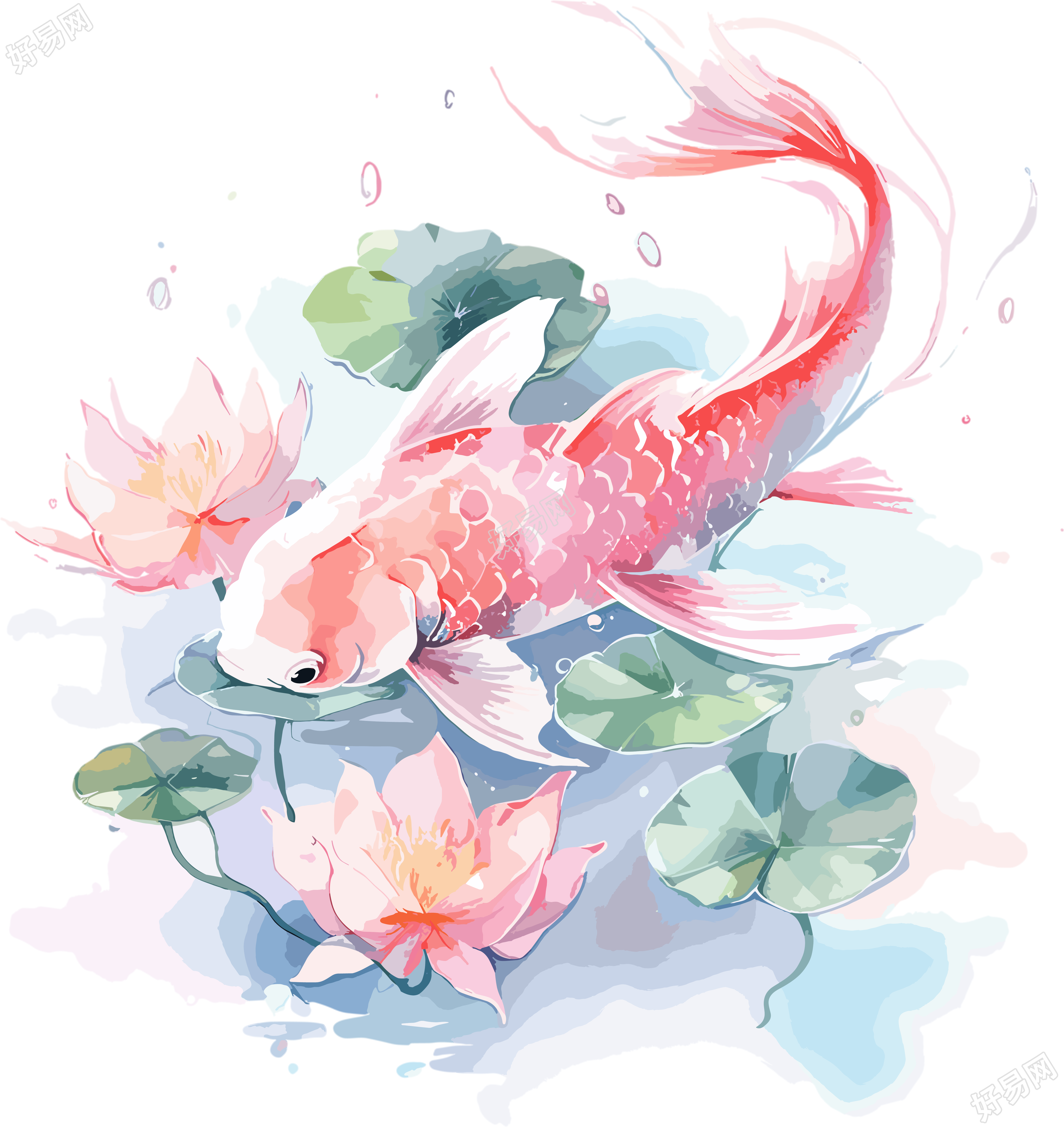 锦鲤荷叶插图