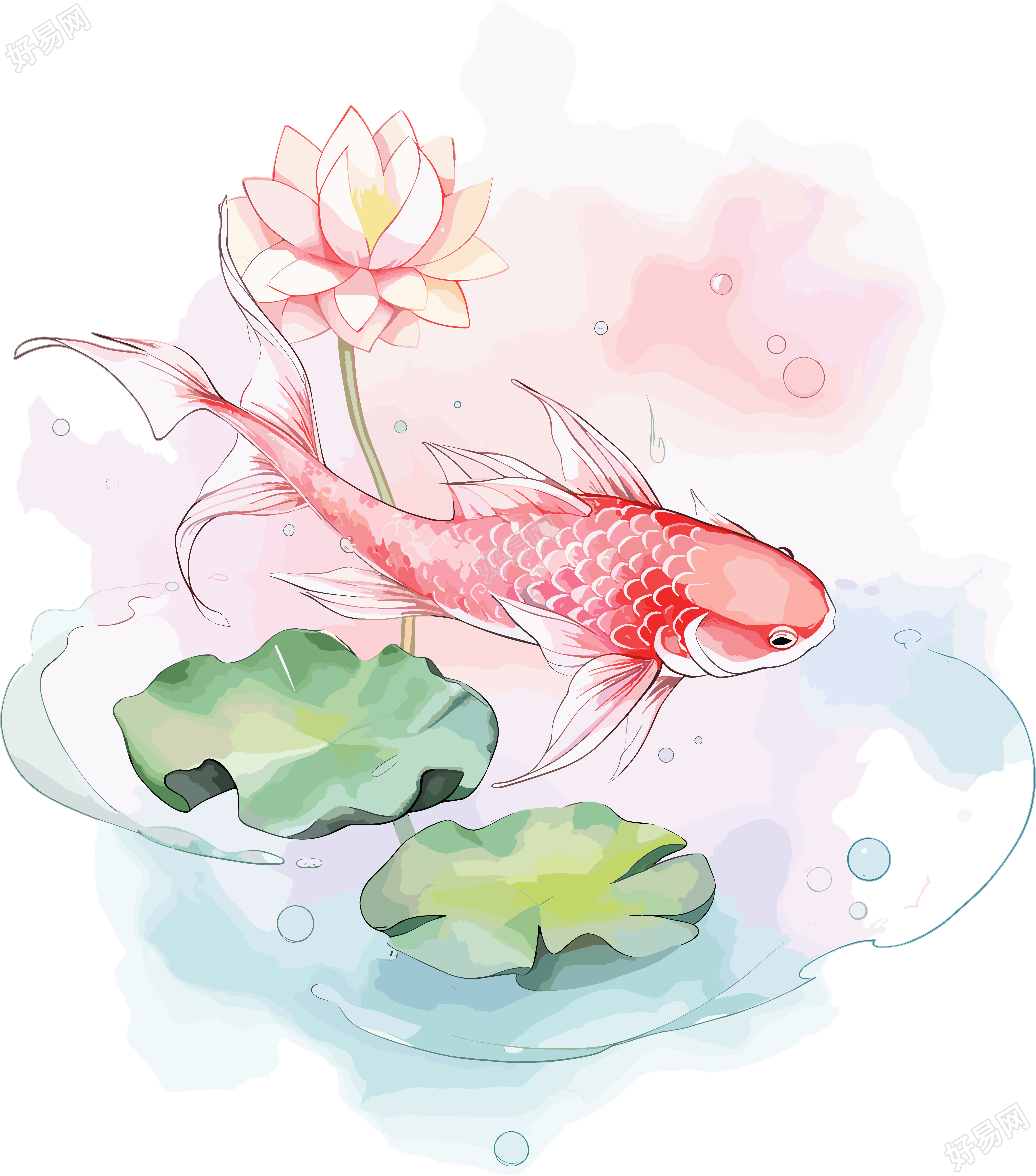 锦鲤荷叶创意设计插画