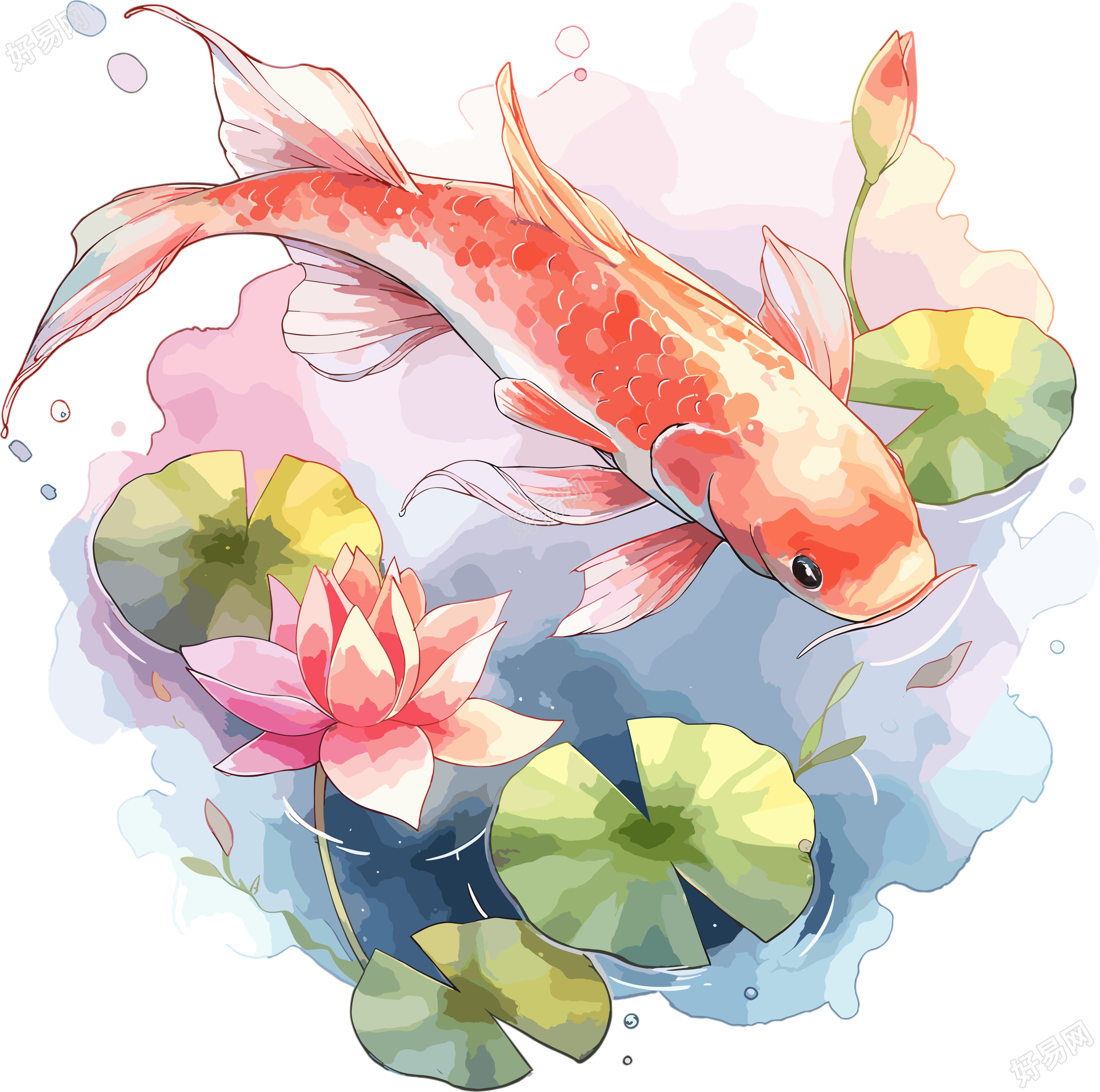 锦鲤荷叶简约插画