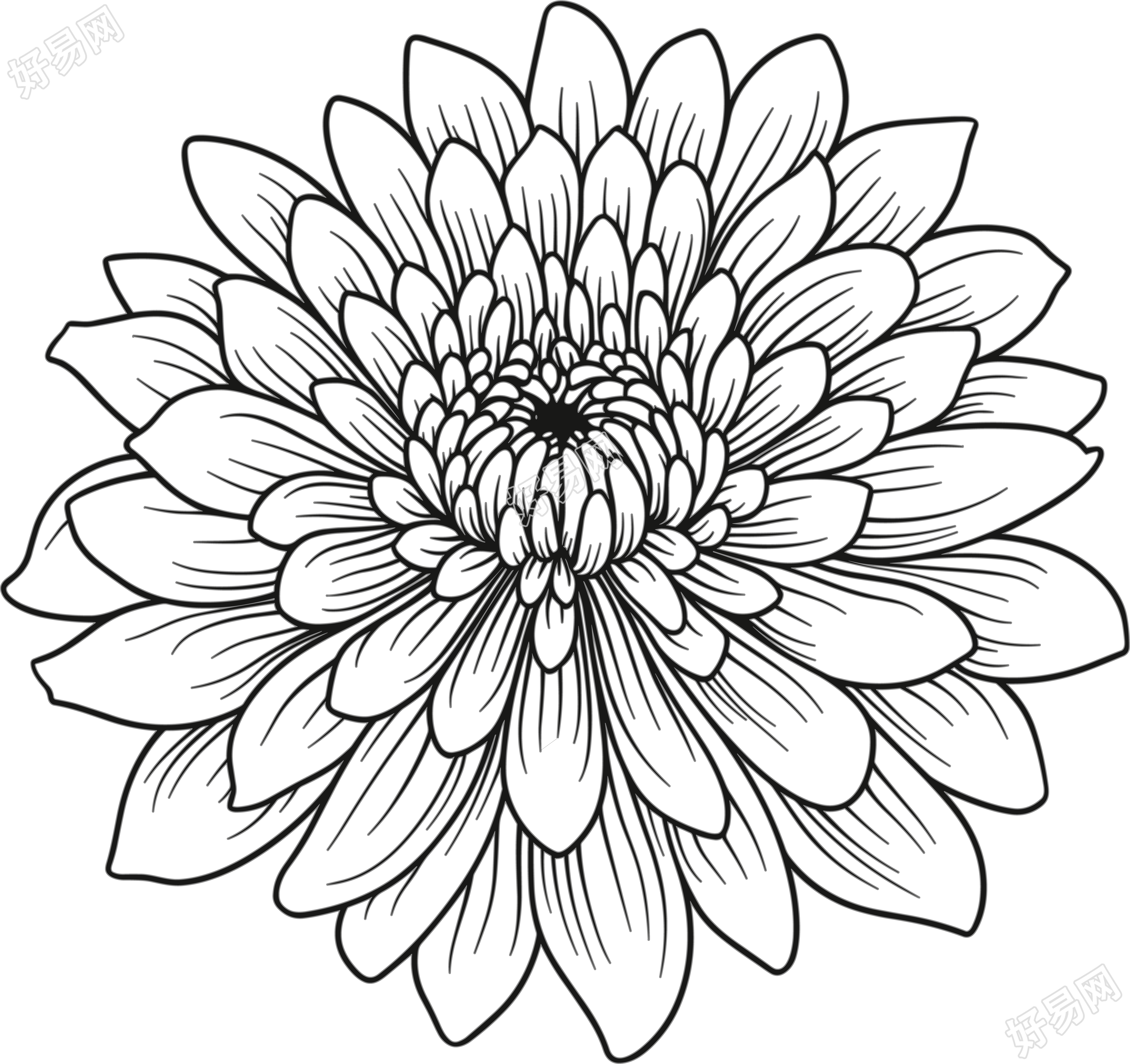 重阳节简笔画