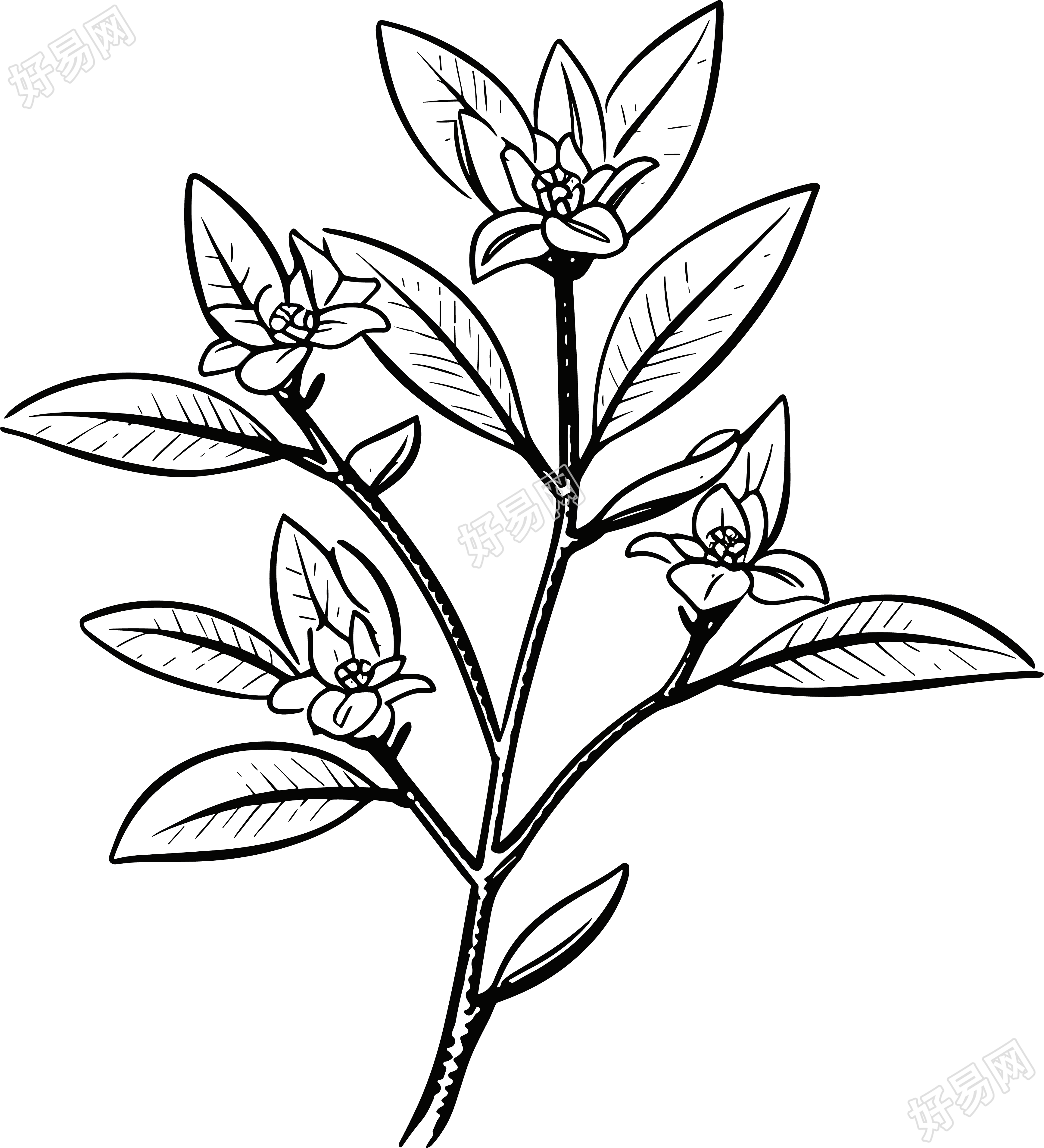 中秋节图片大全简笔画