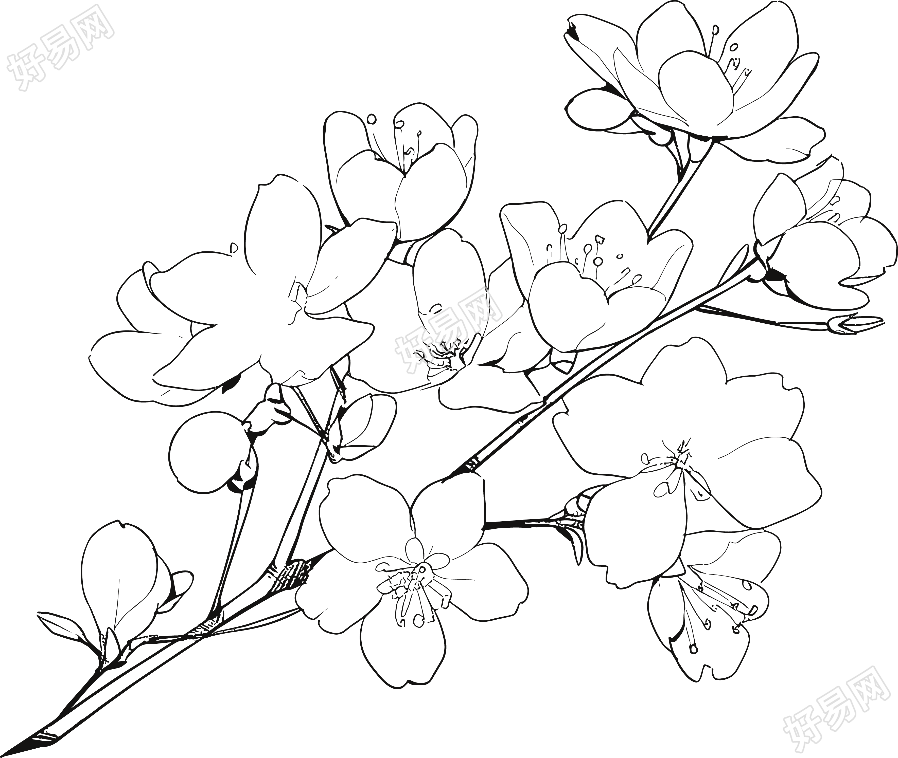 桃花简笔画