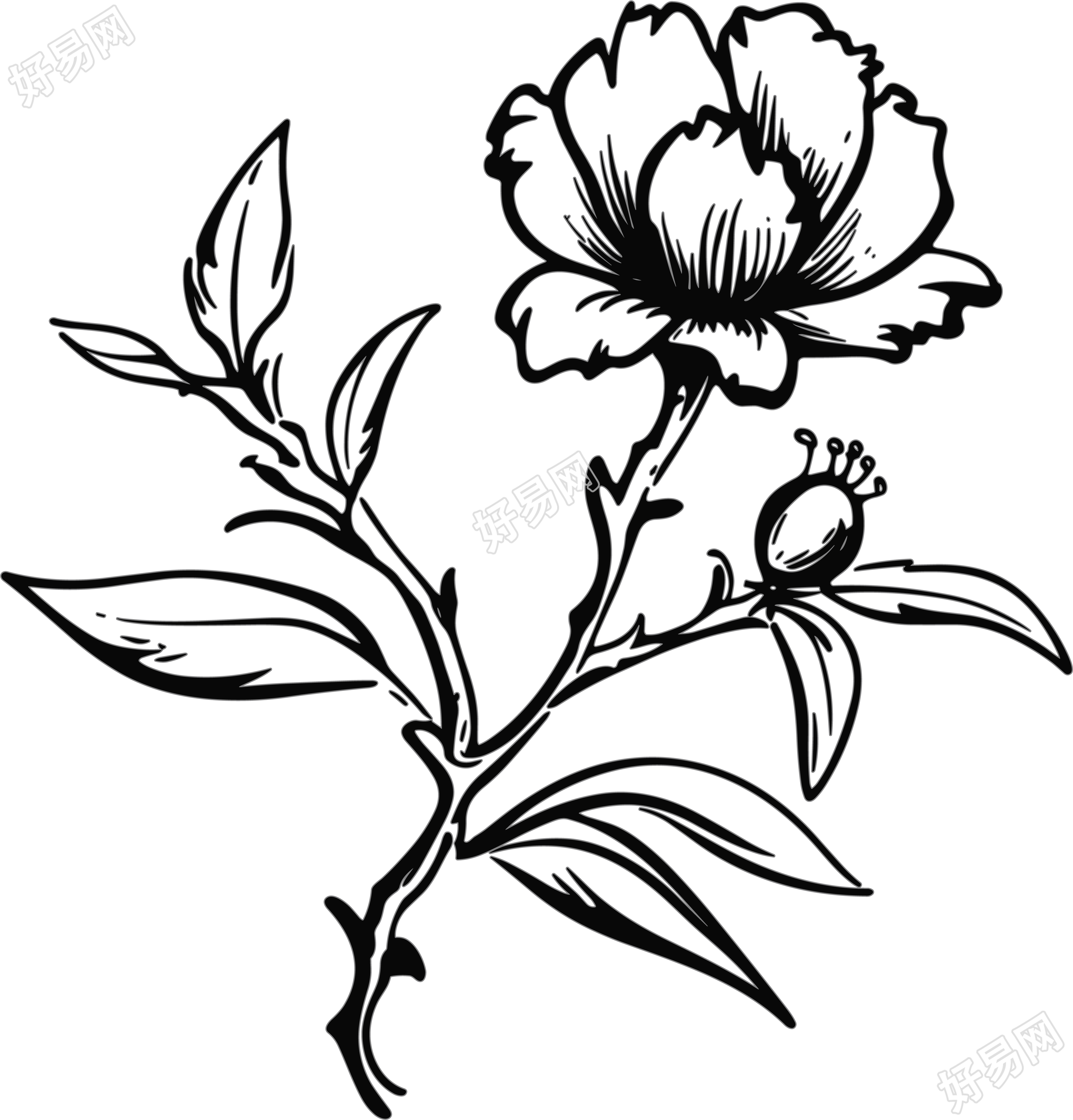 石榴花简笔画
