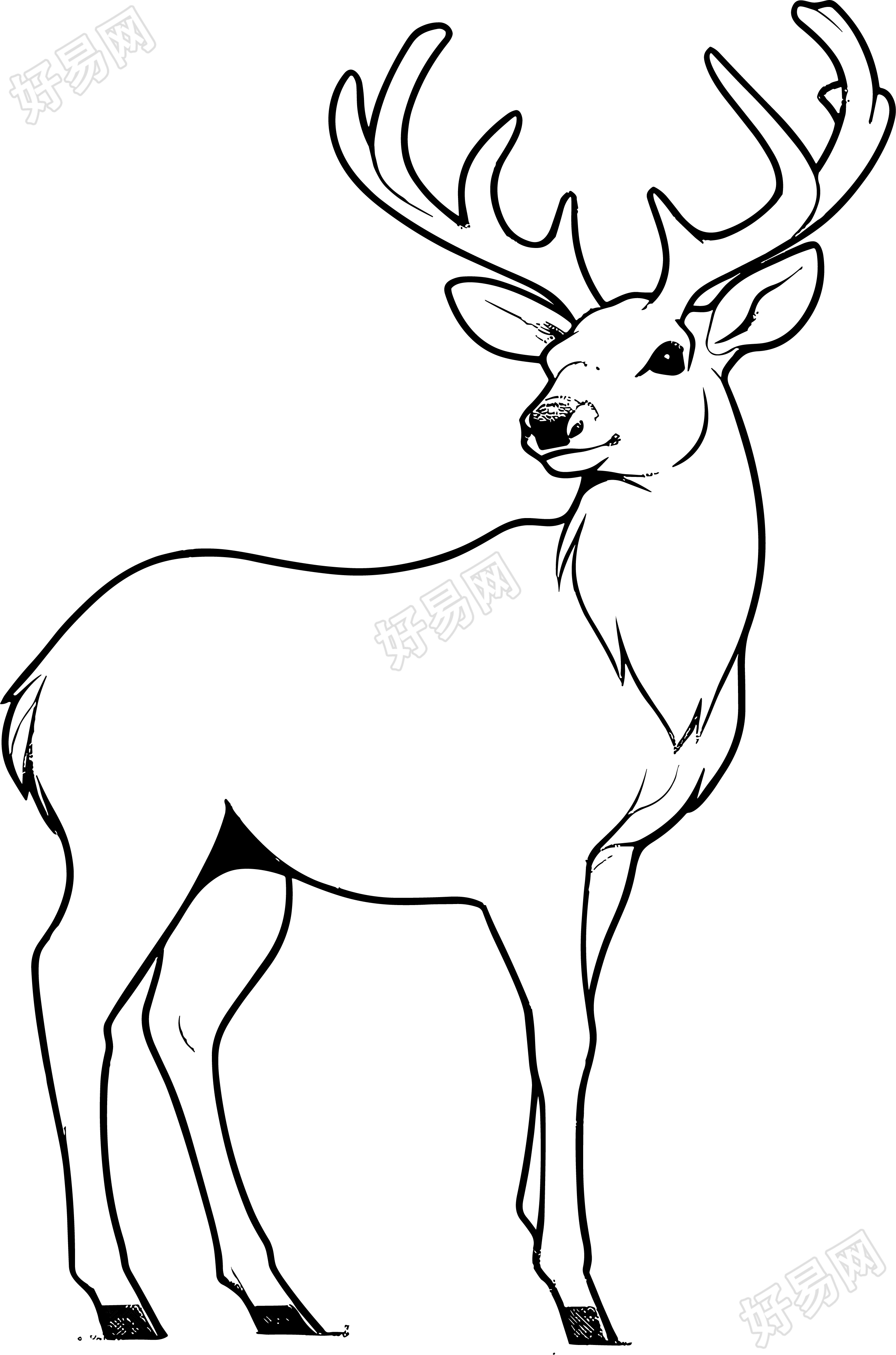 麋鹿简笔画