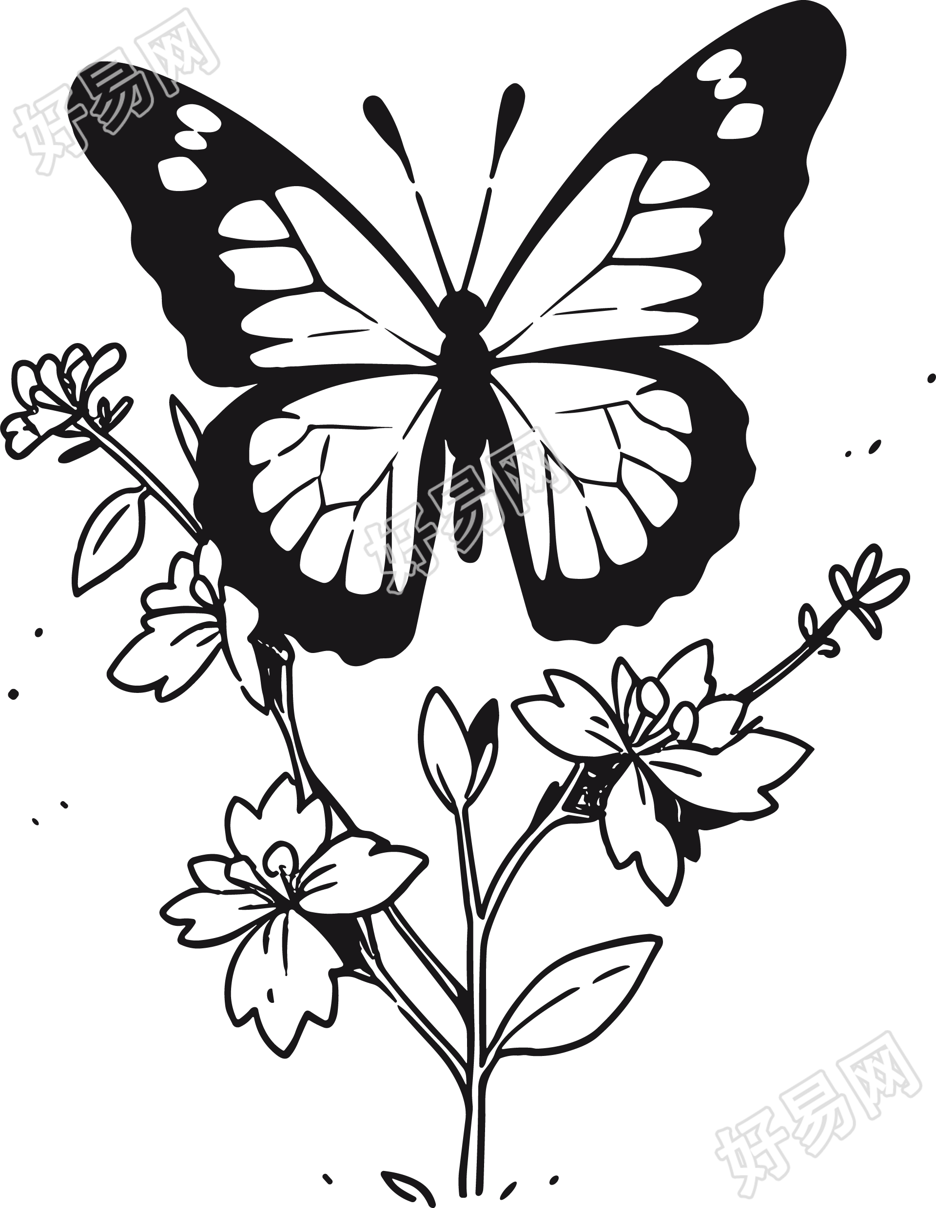 简笔画大全图片