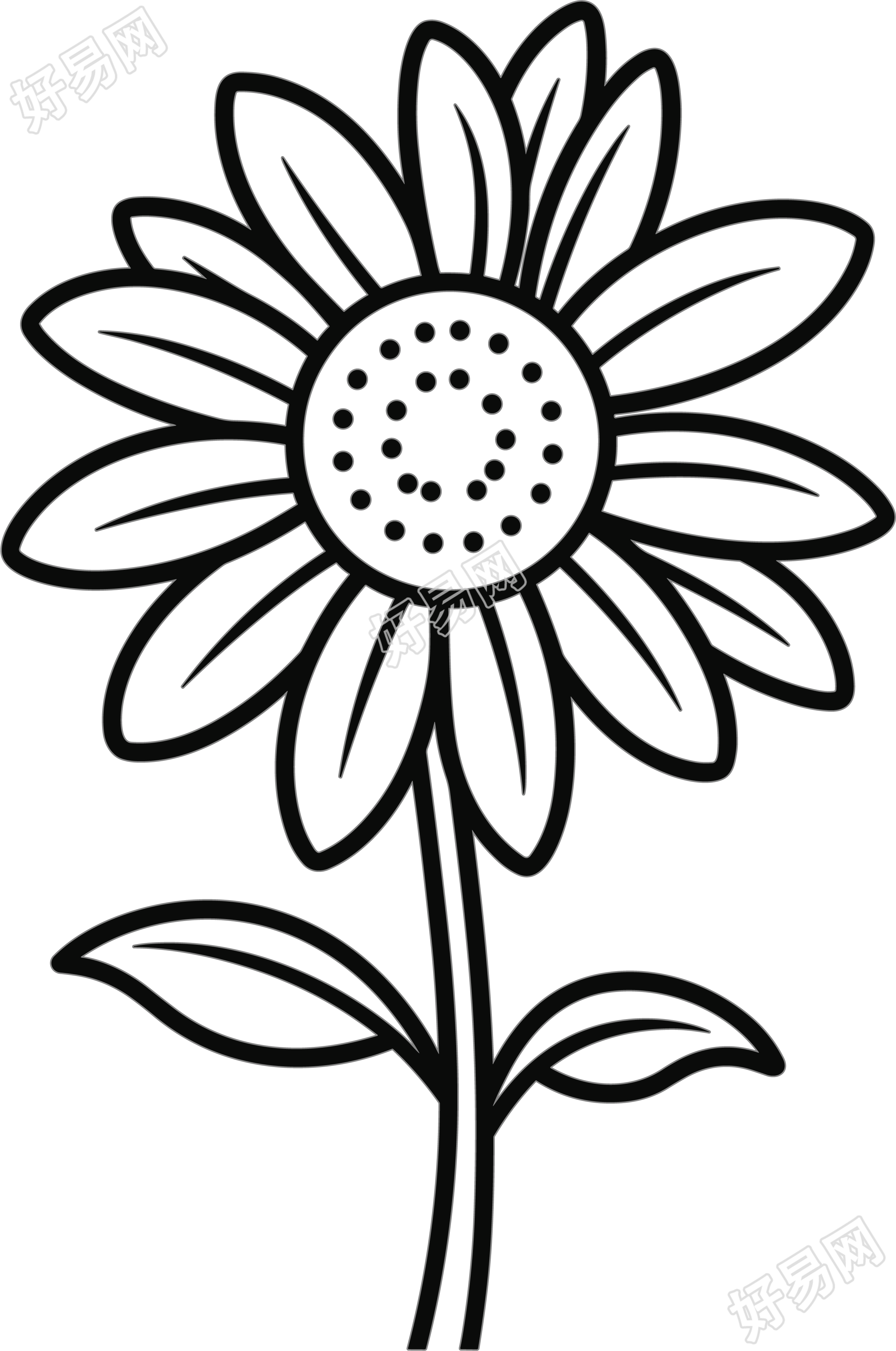 花简笔画图片大全
