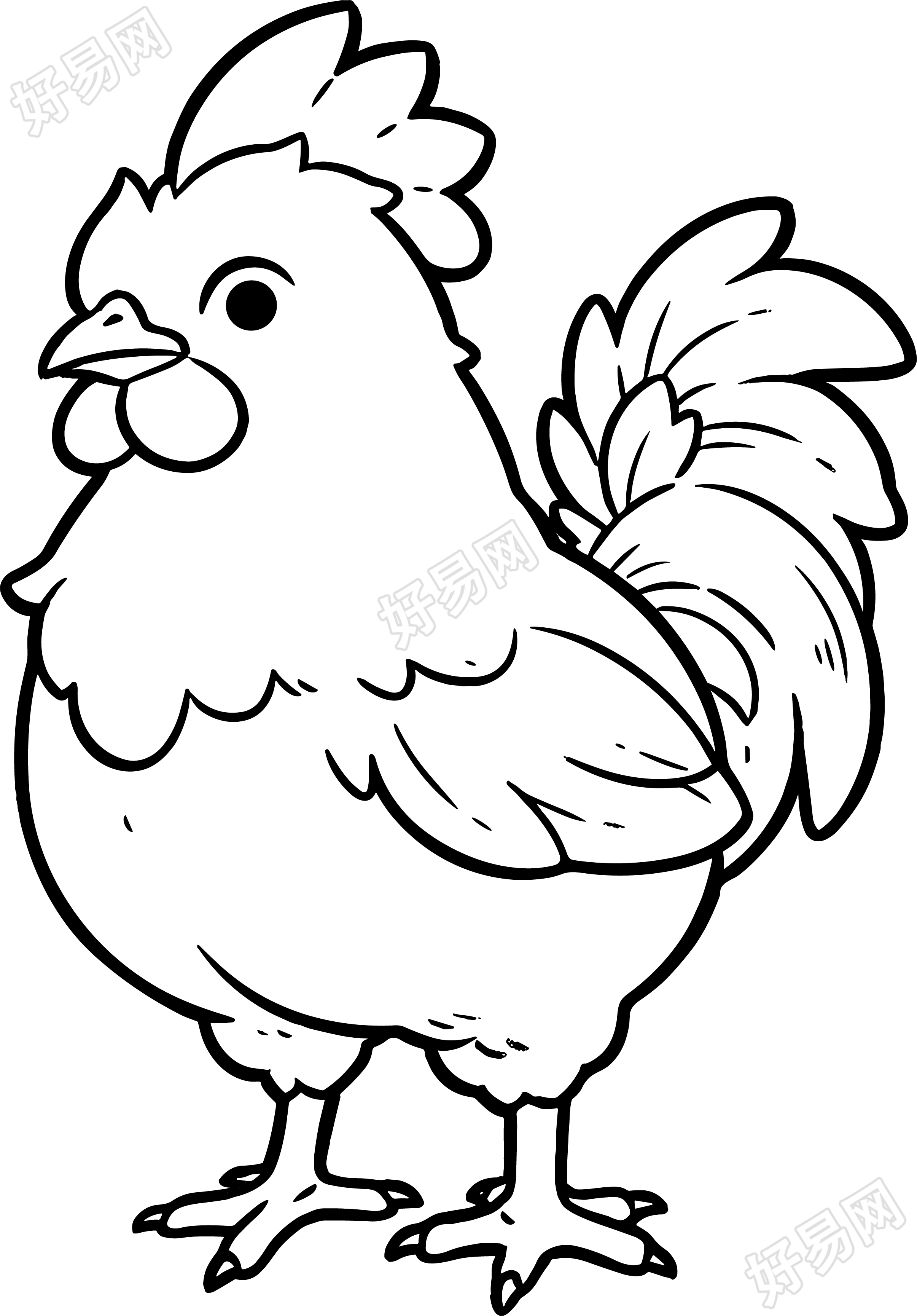 公鸡简笔画