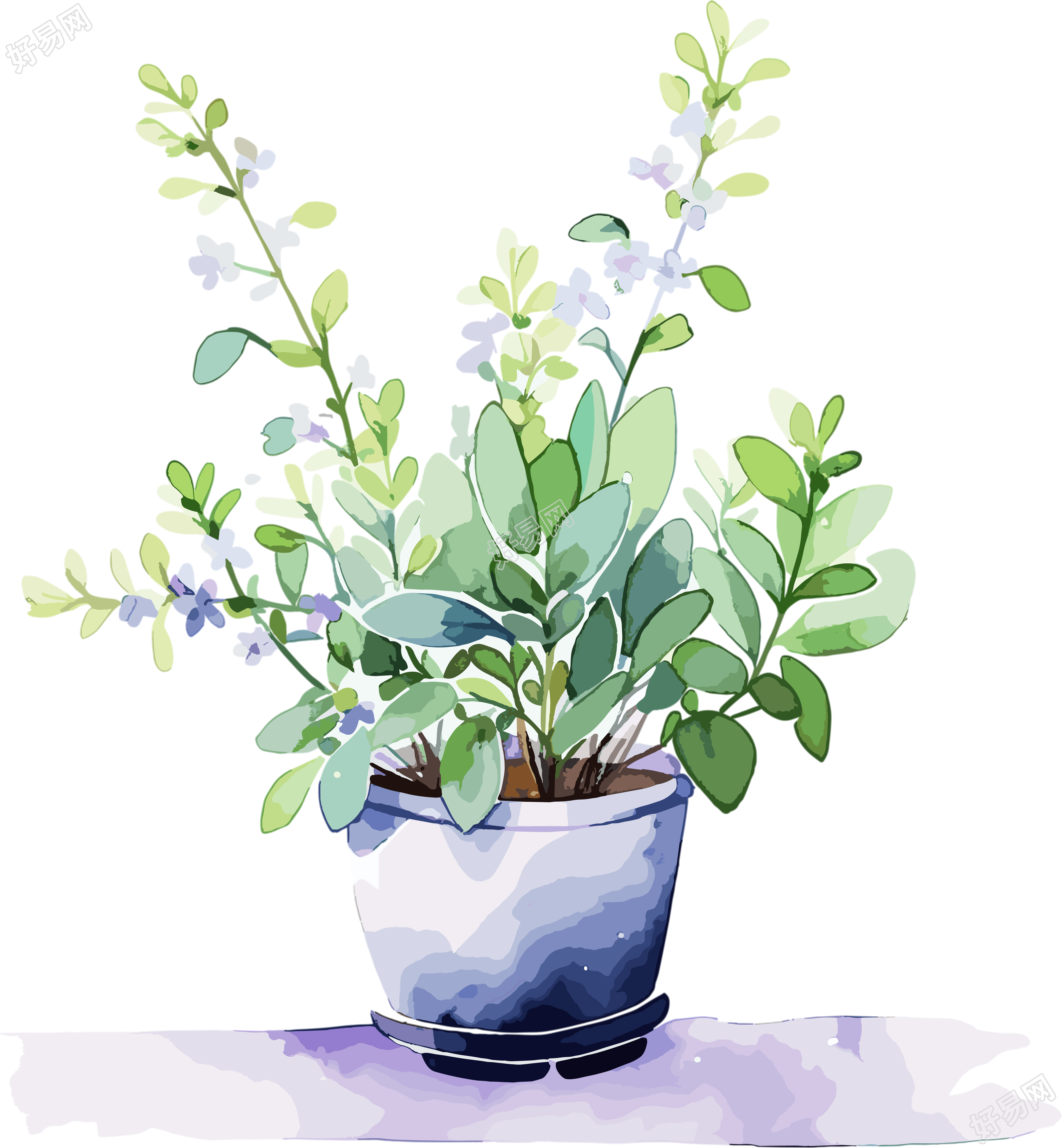 水彩花卉透明背景插画