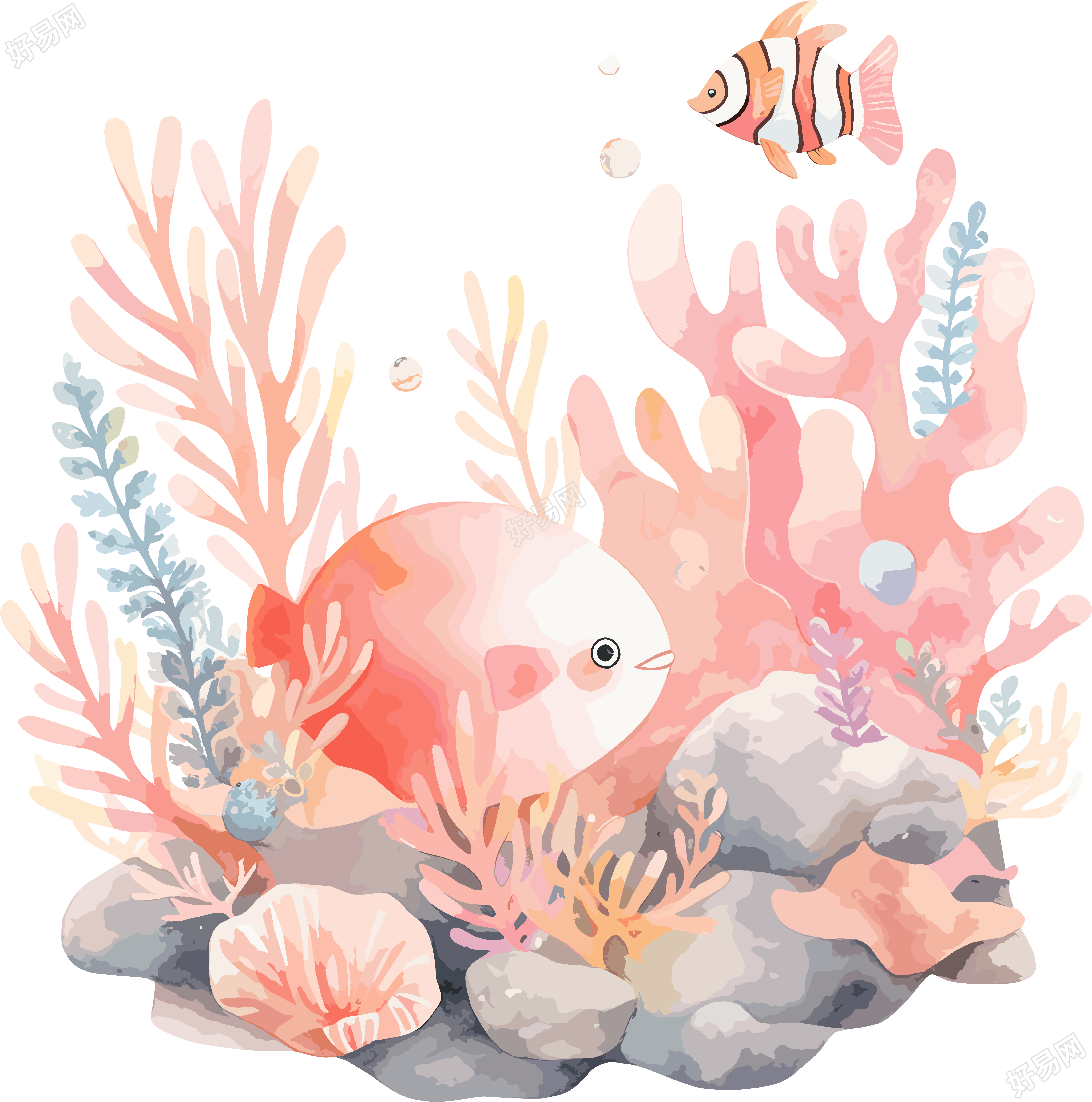 珊瑚可商用手绘插画