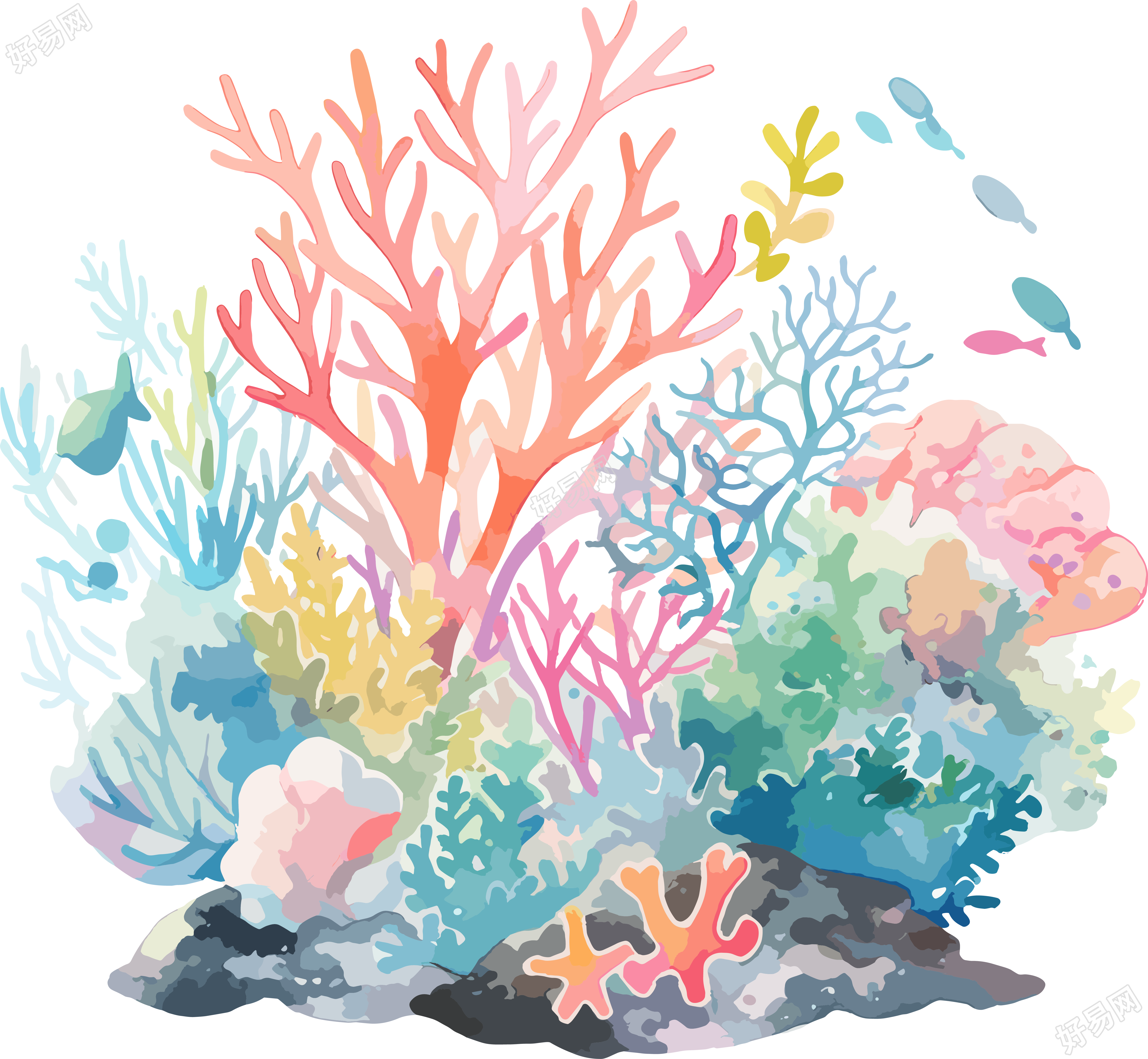 珊瑚透明背景插画