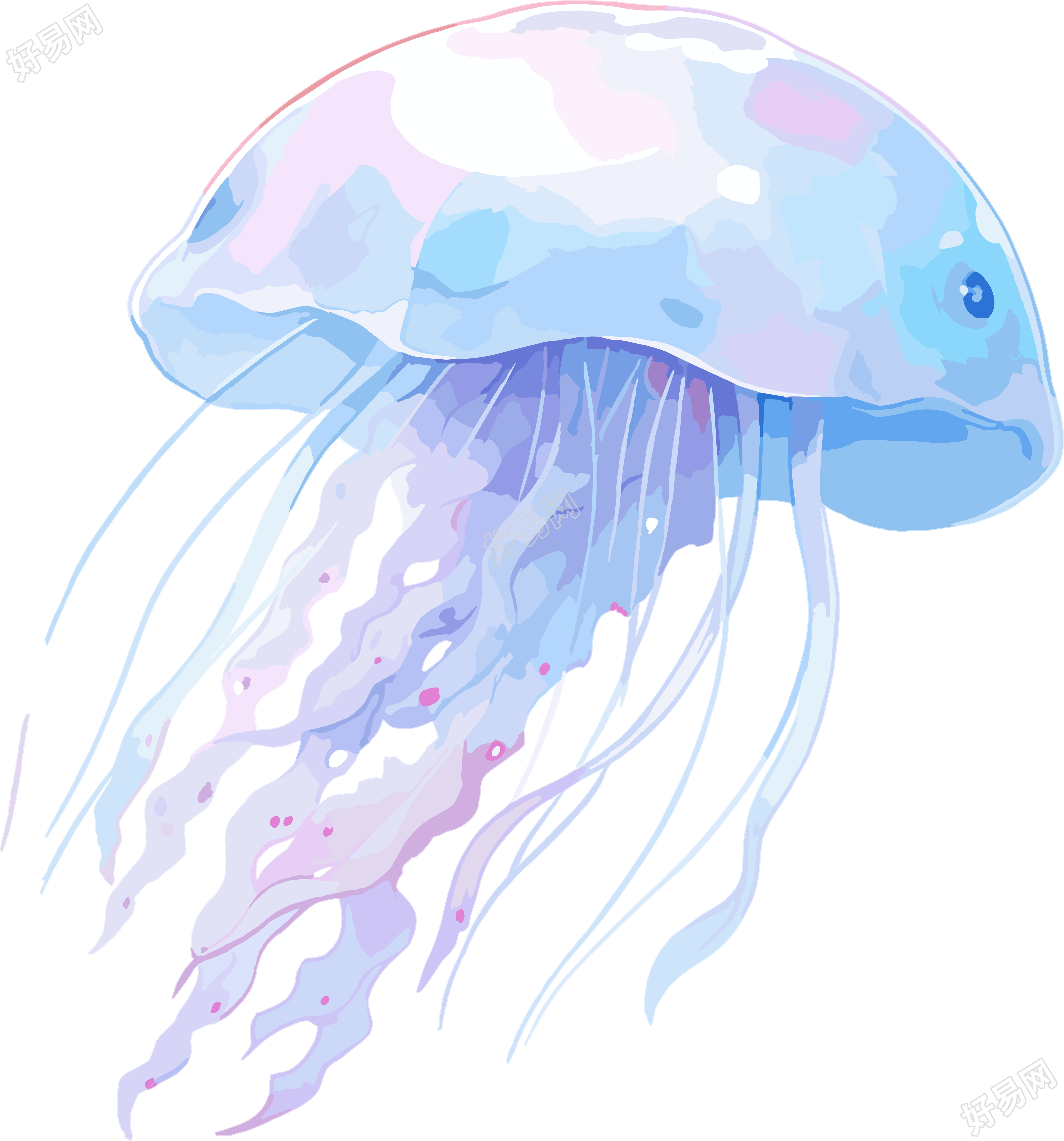 水母插画设计素材