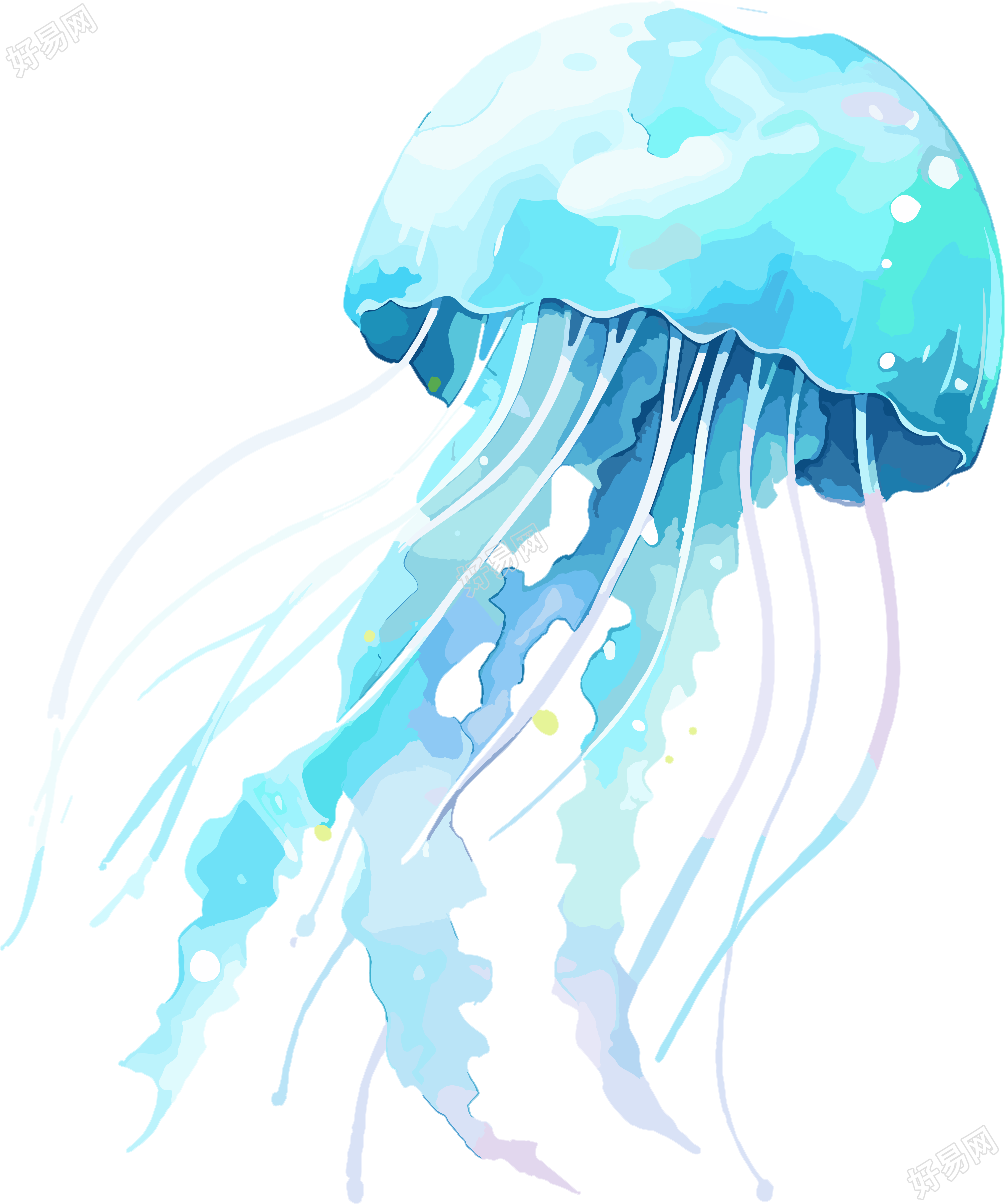 水母水彩插画