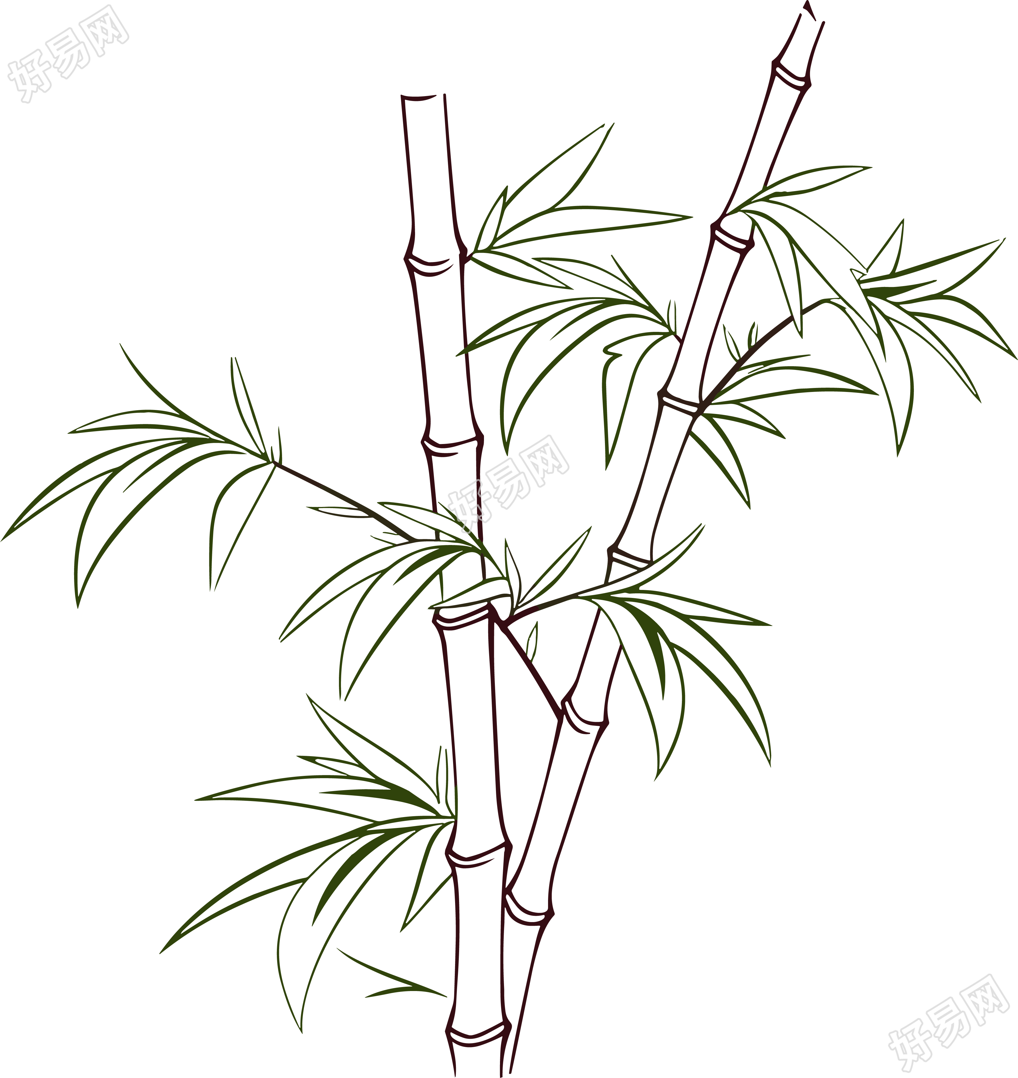竹子简笔画
