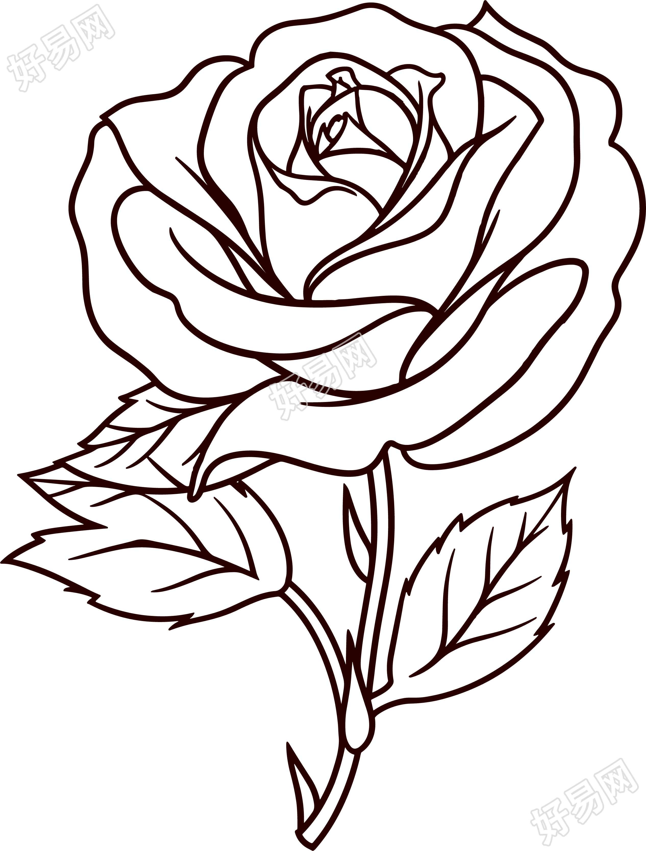 玫瑰花简笔画