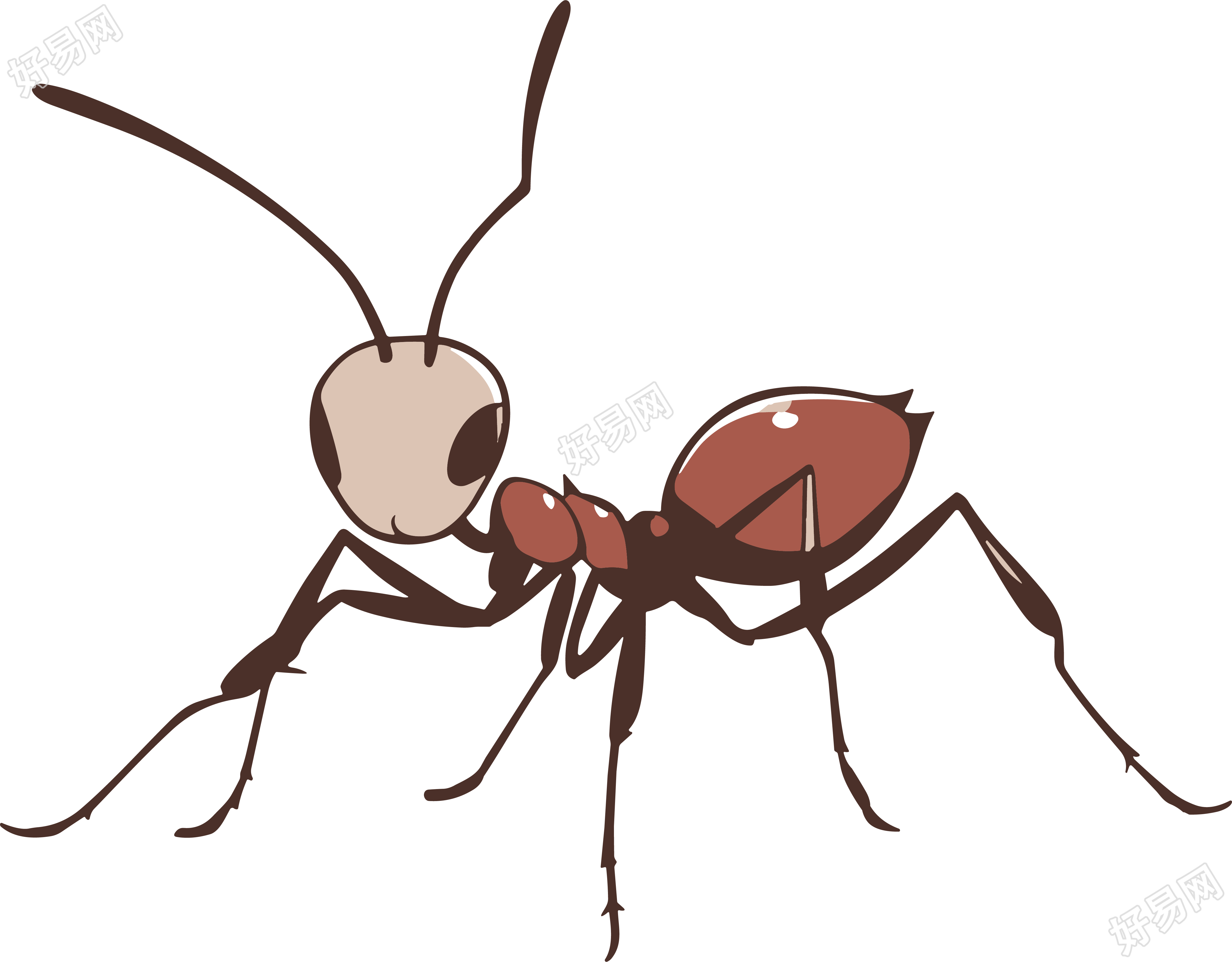 蚂蚁卡通手绘插画PNG素材