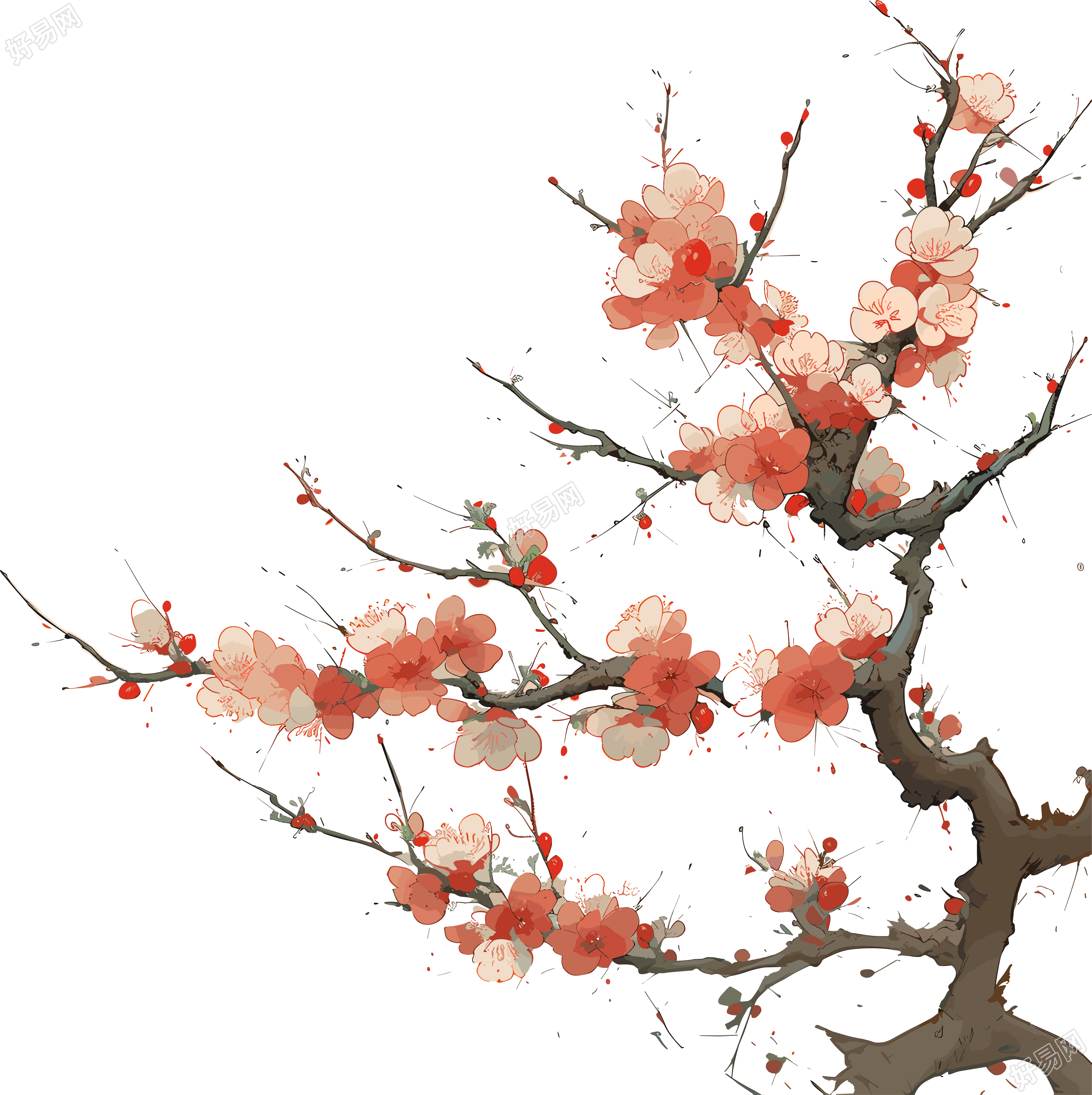 梅花透明背景设计素材