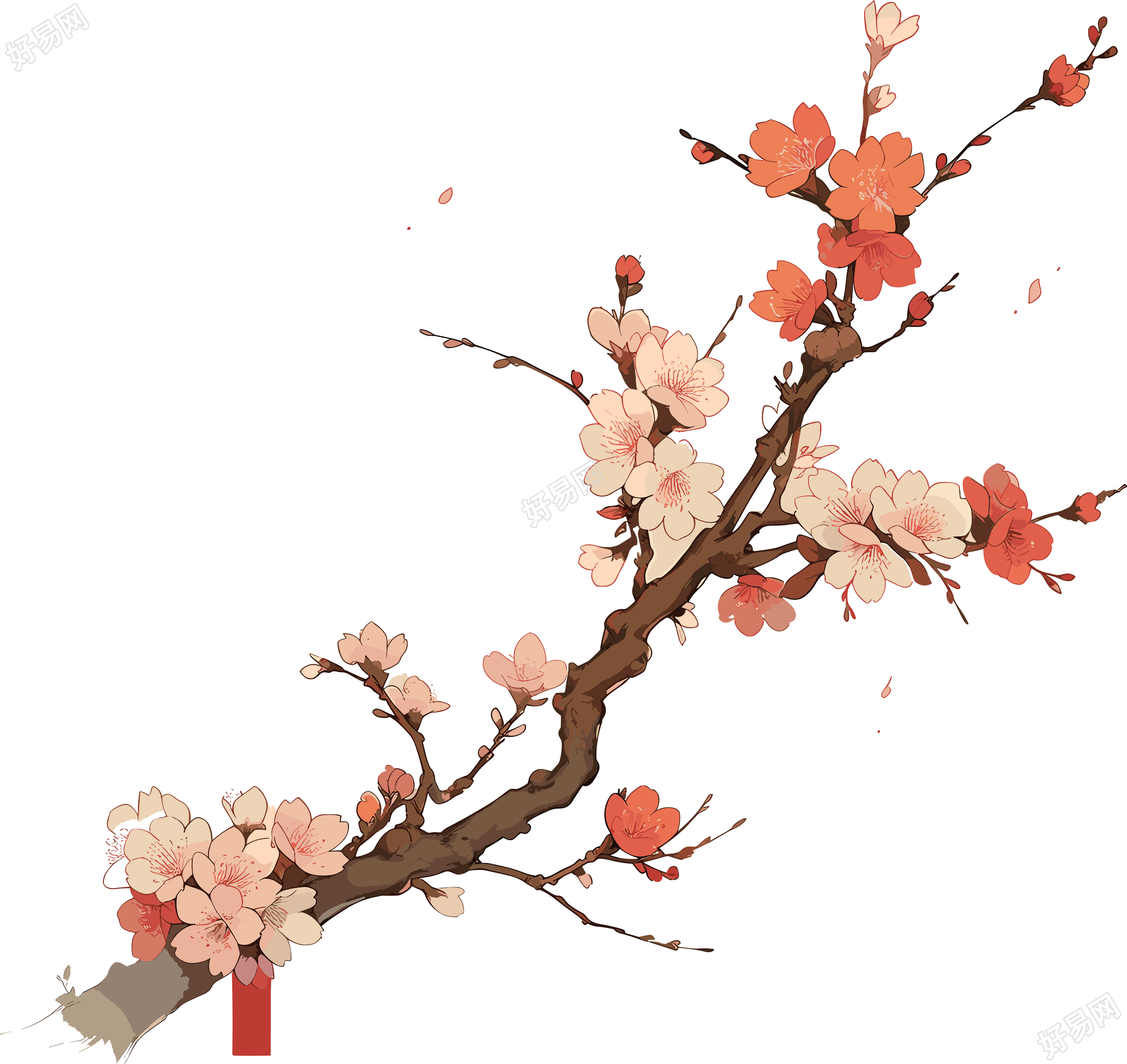梅花素材PNG透明背景元素