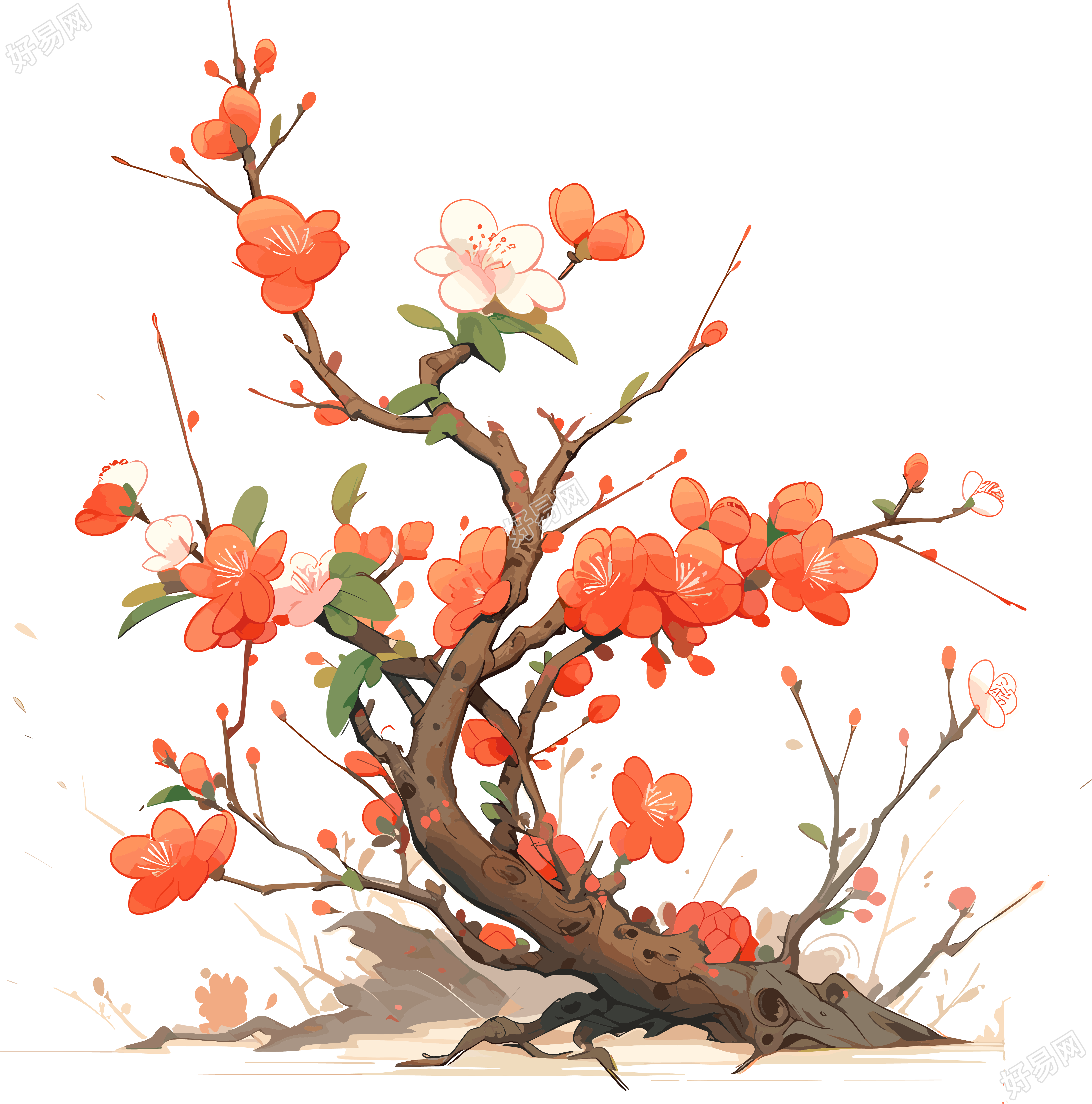 梅花高清商业设计插画