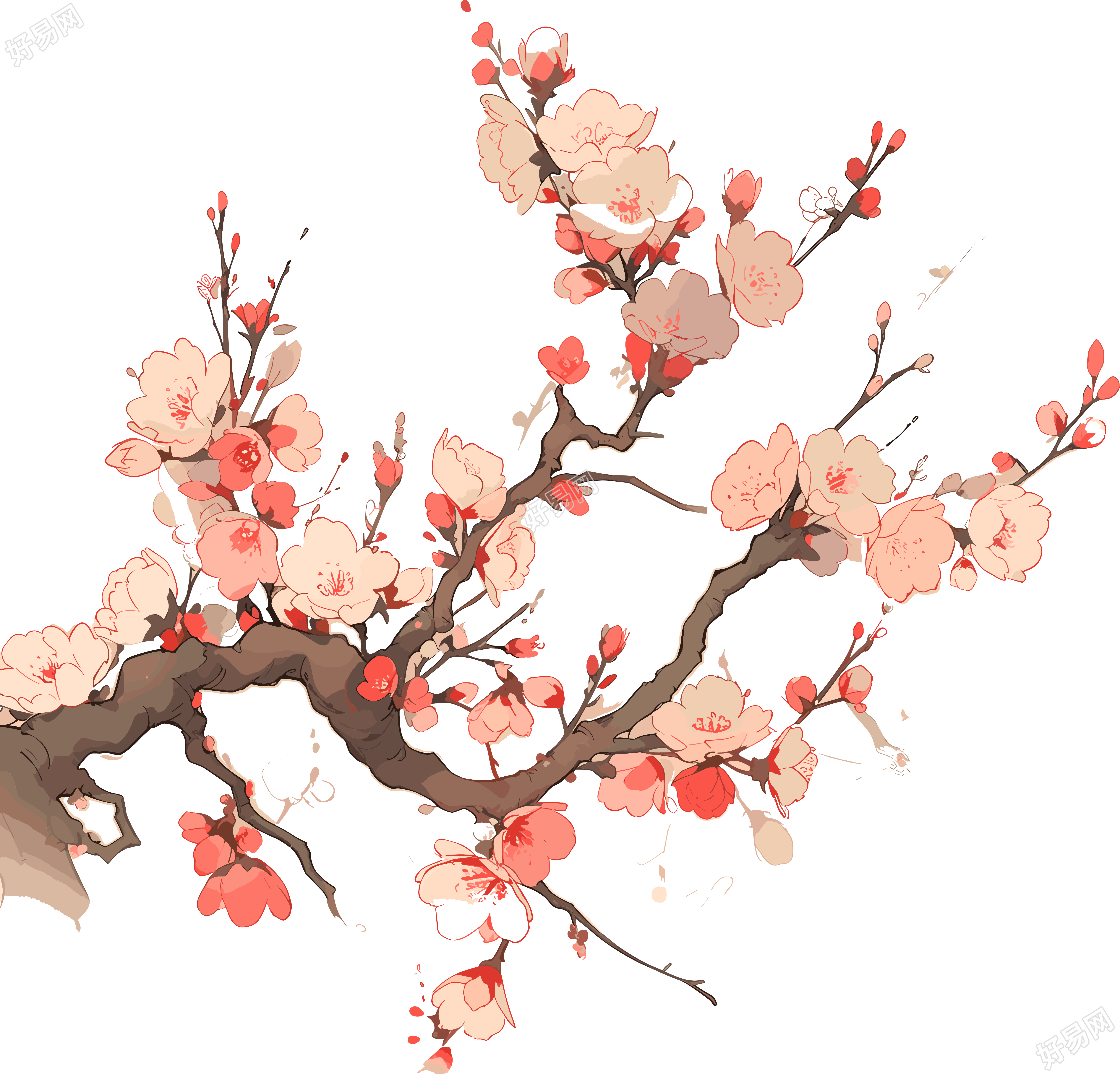 梅花PNG高清透明背景素材