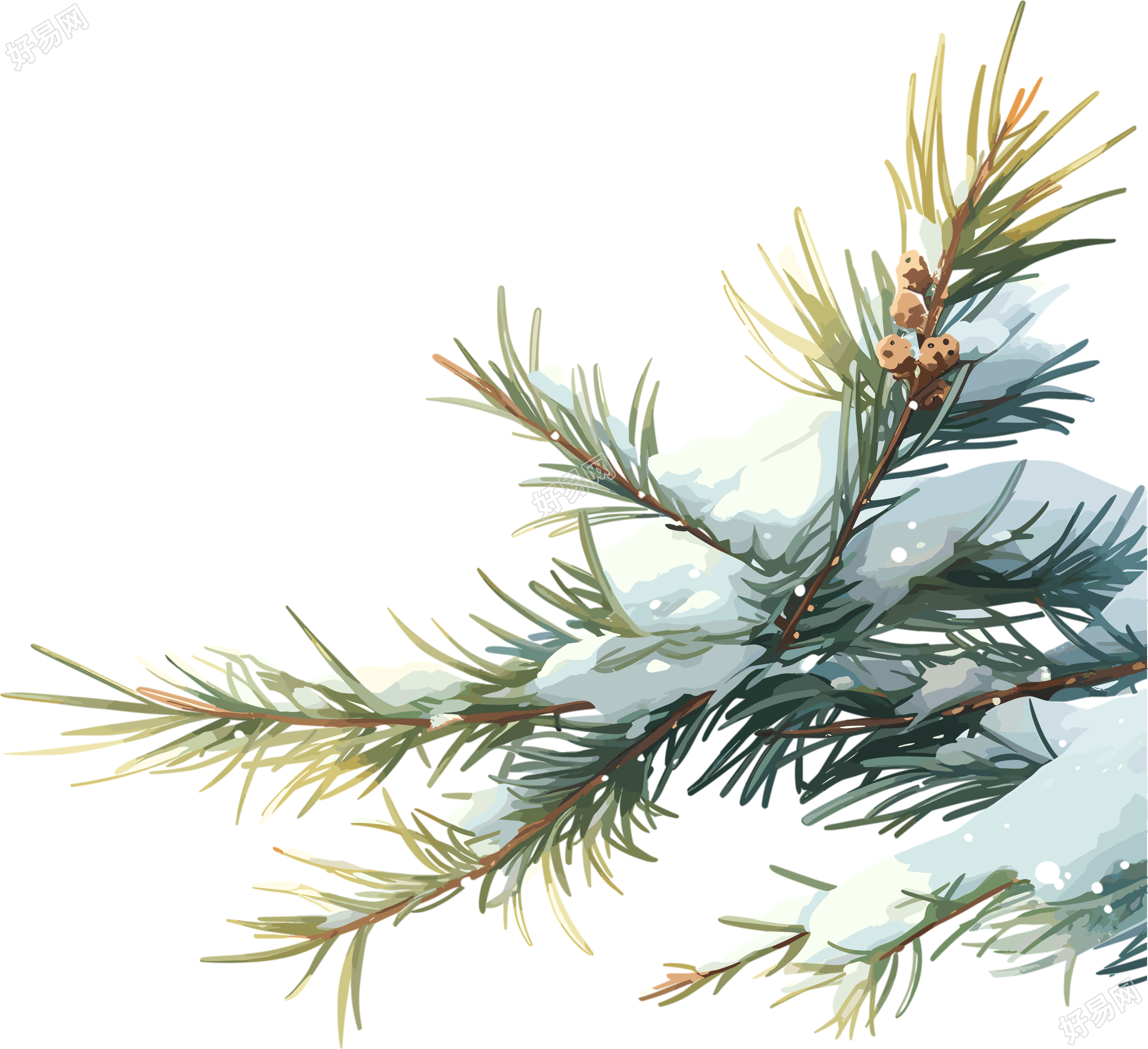 松枝上飘落的雪花素材