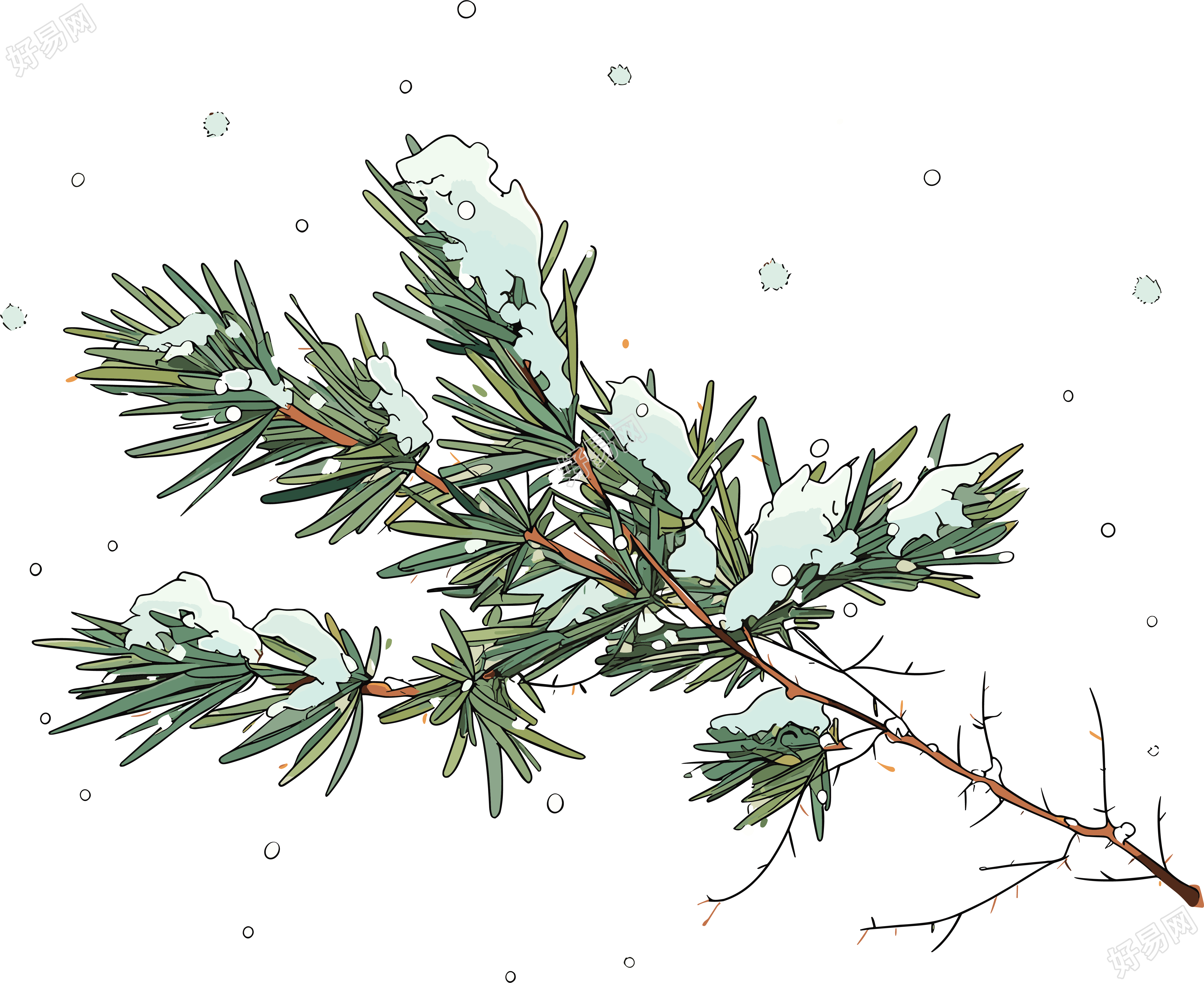 松枝积雪透明背景素材