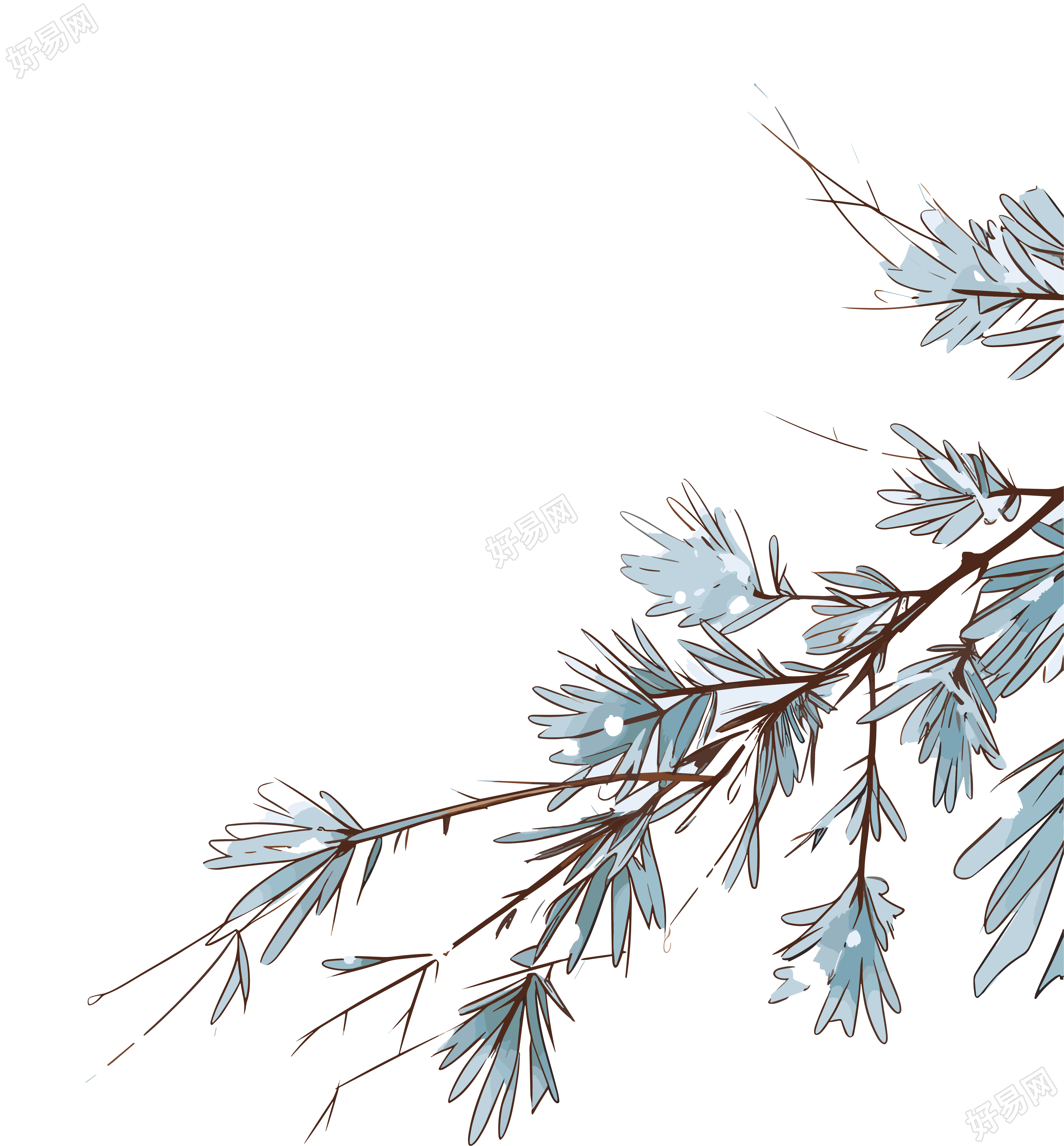 松枝积雪插画