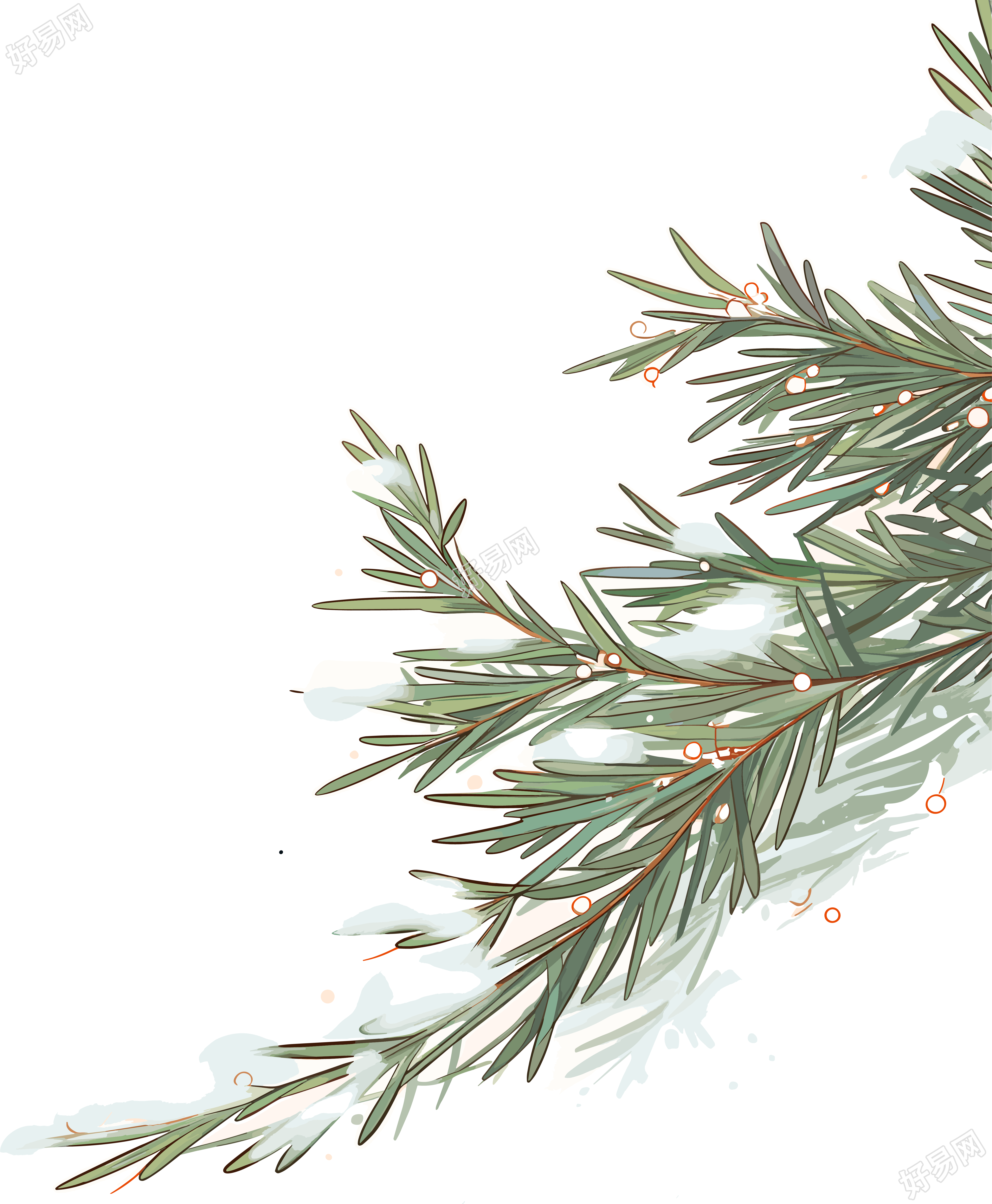 松枝积雪高清质量素材