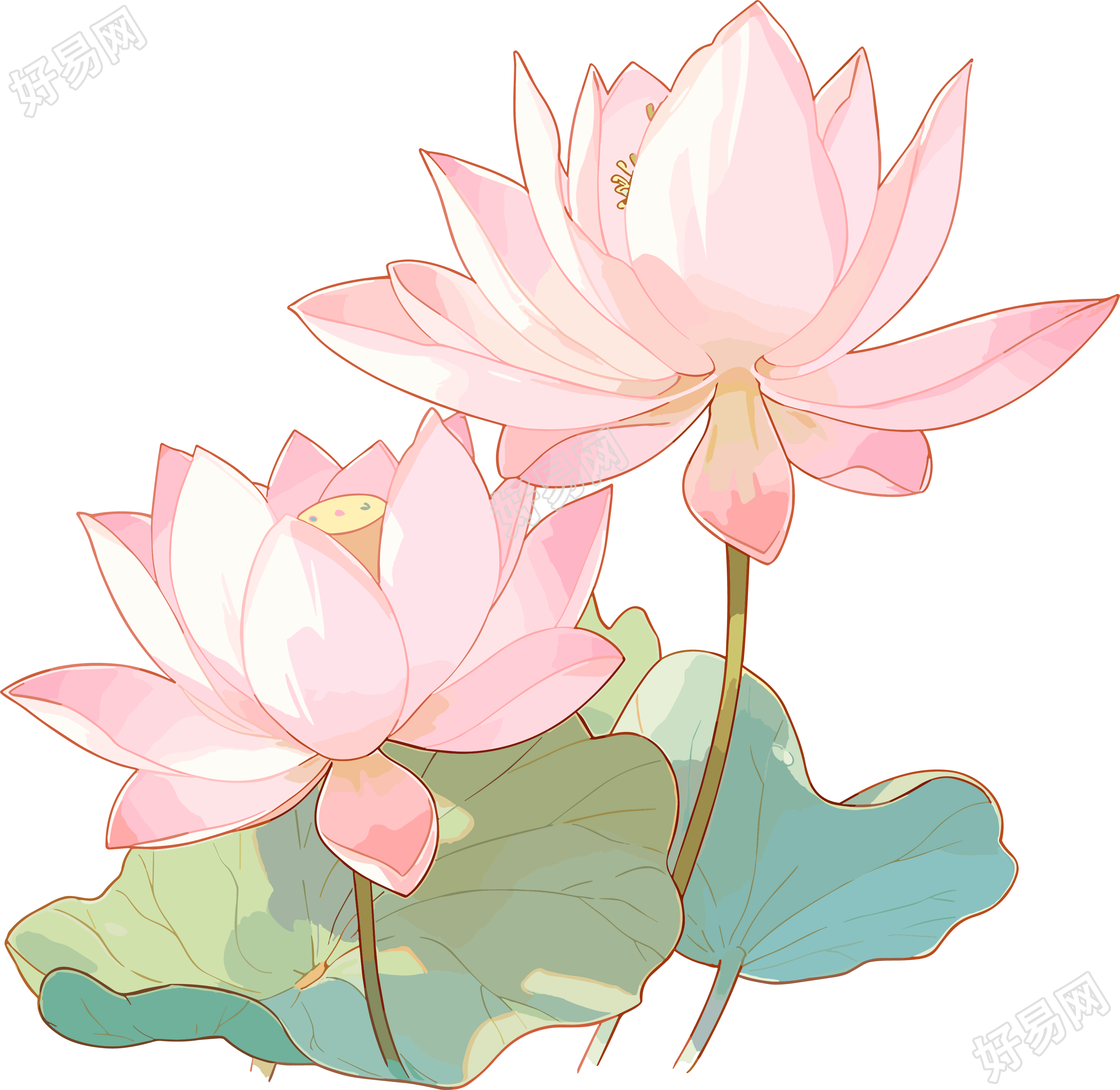 莲花简约儿童插画