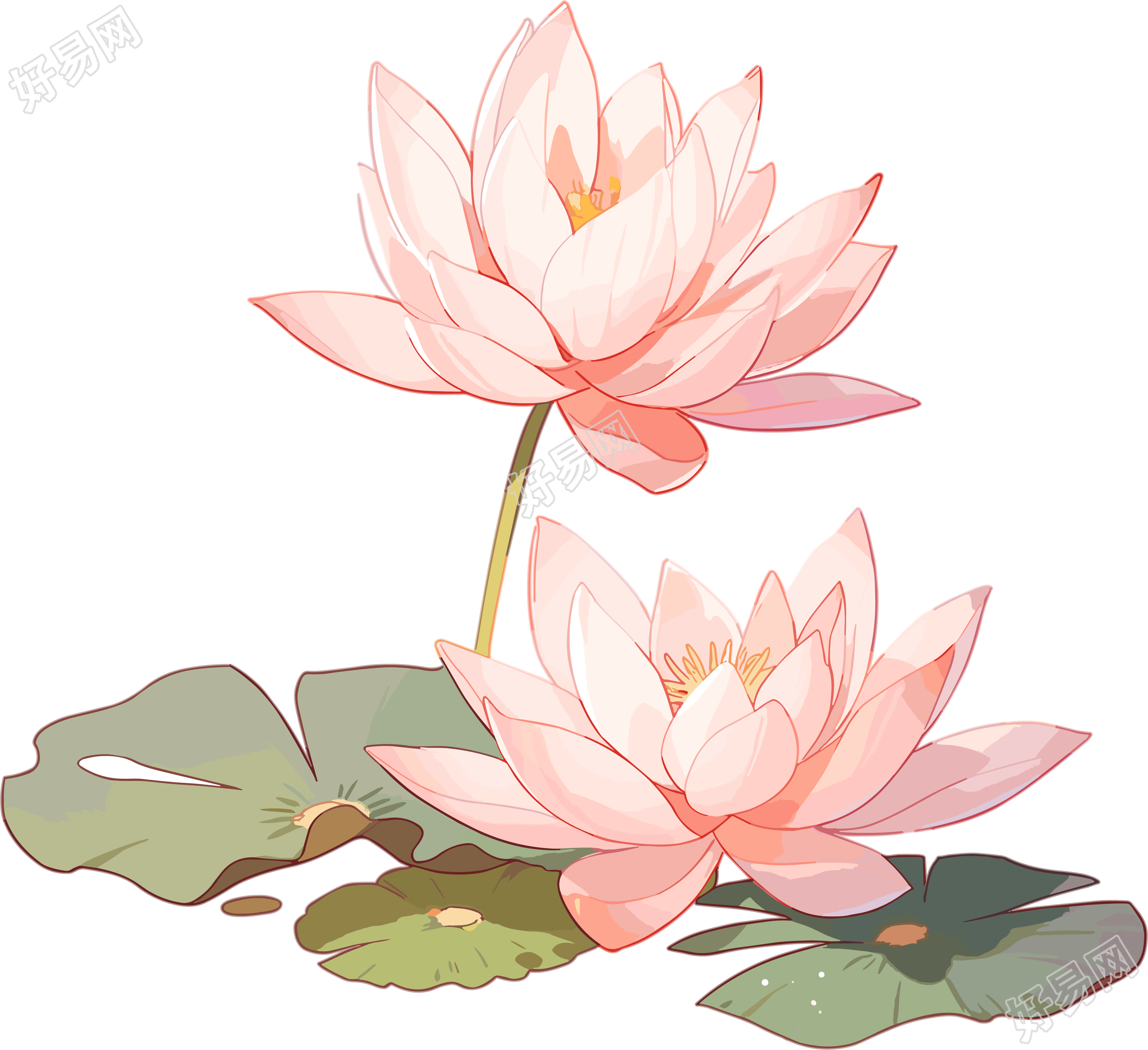 莲花高清图形设计元素