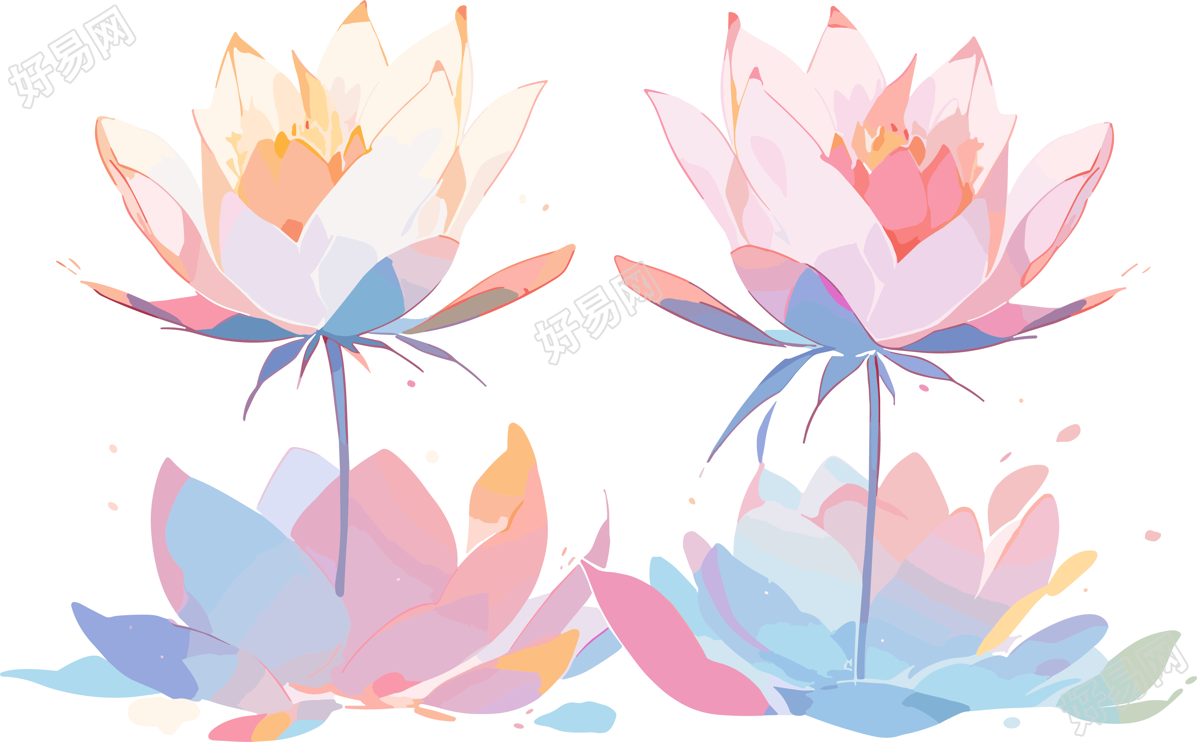 莲花可商用插画设计素材