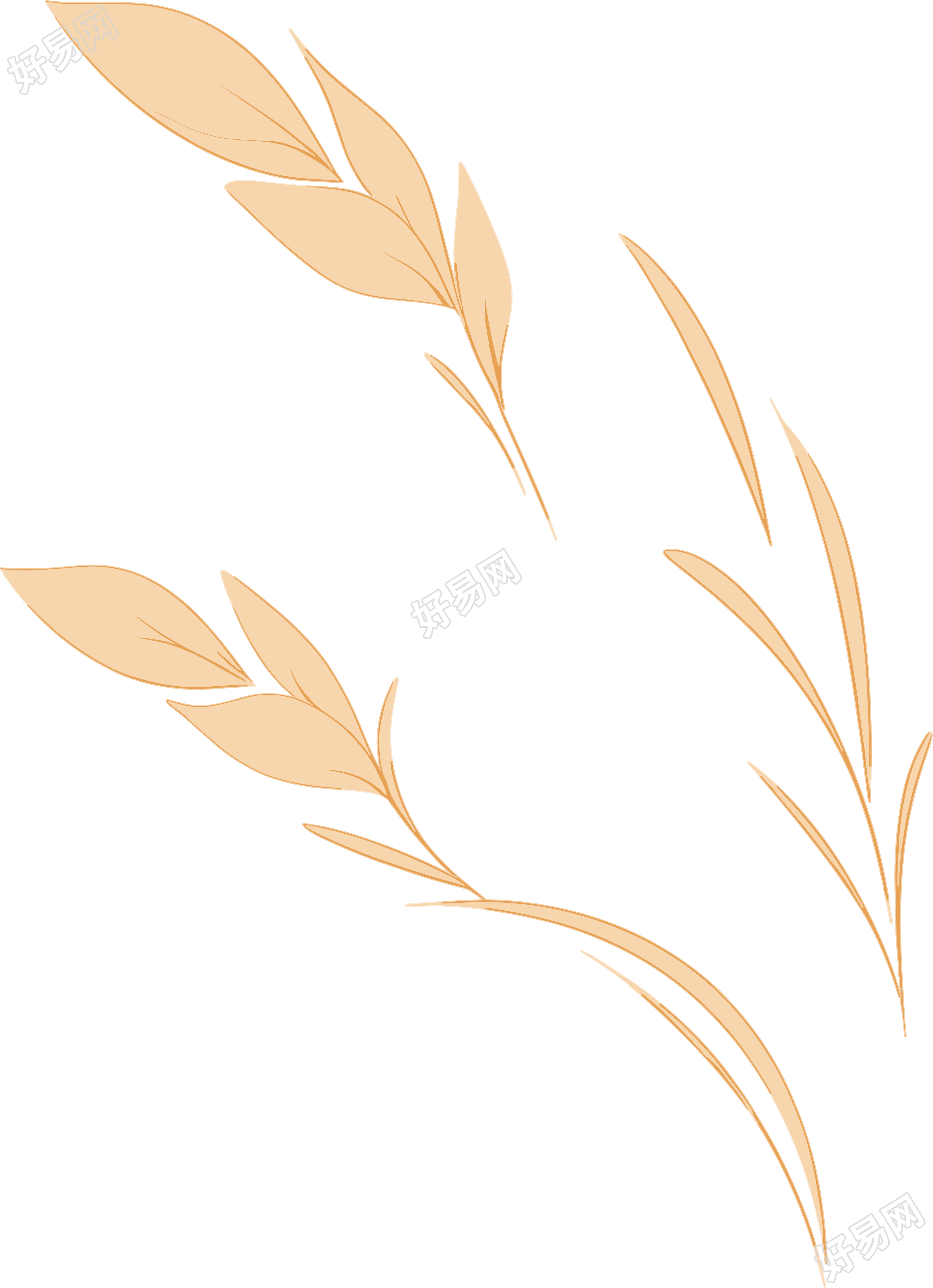 小麦简约插图设计素材