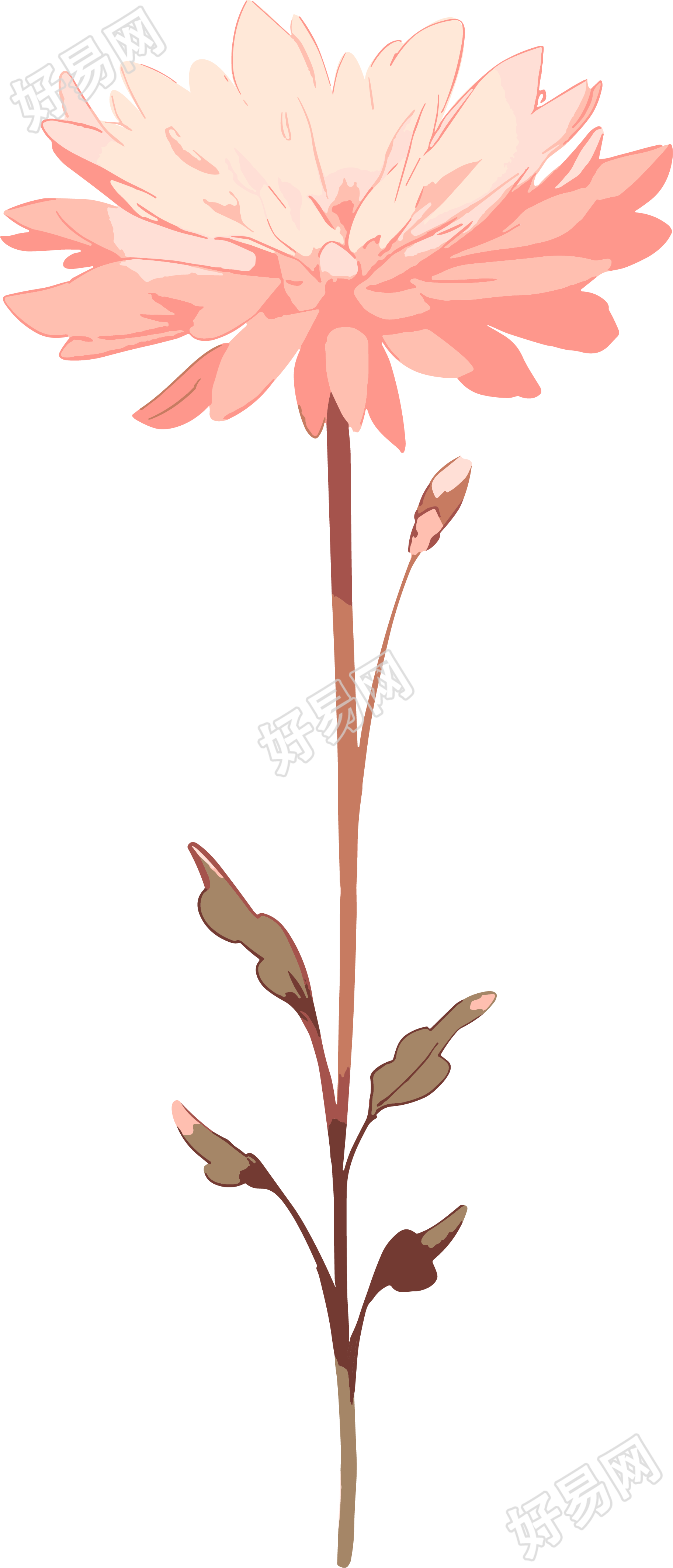 线条花朵商业设计元素