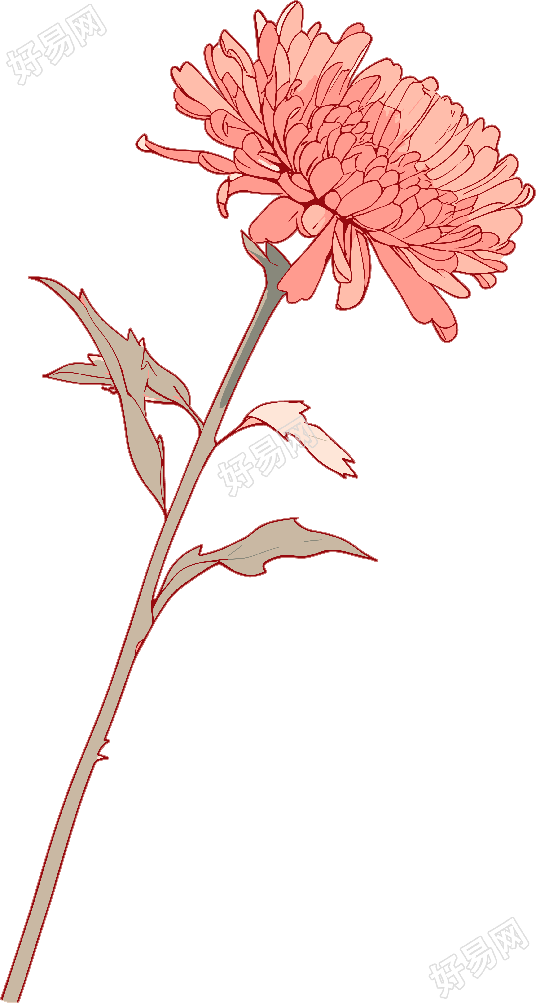 线条花朵高清素材