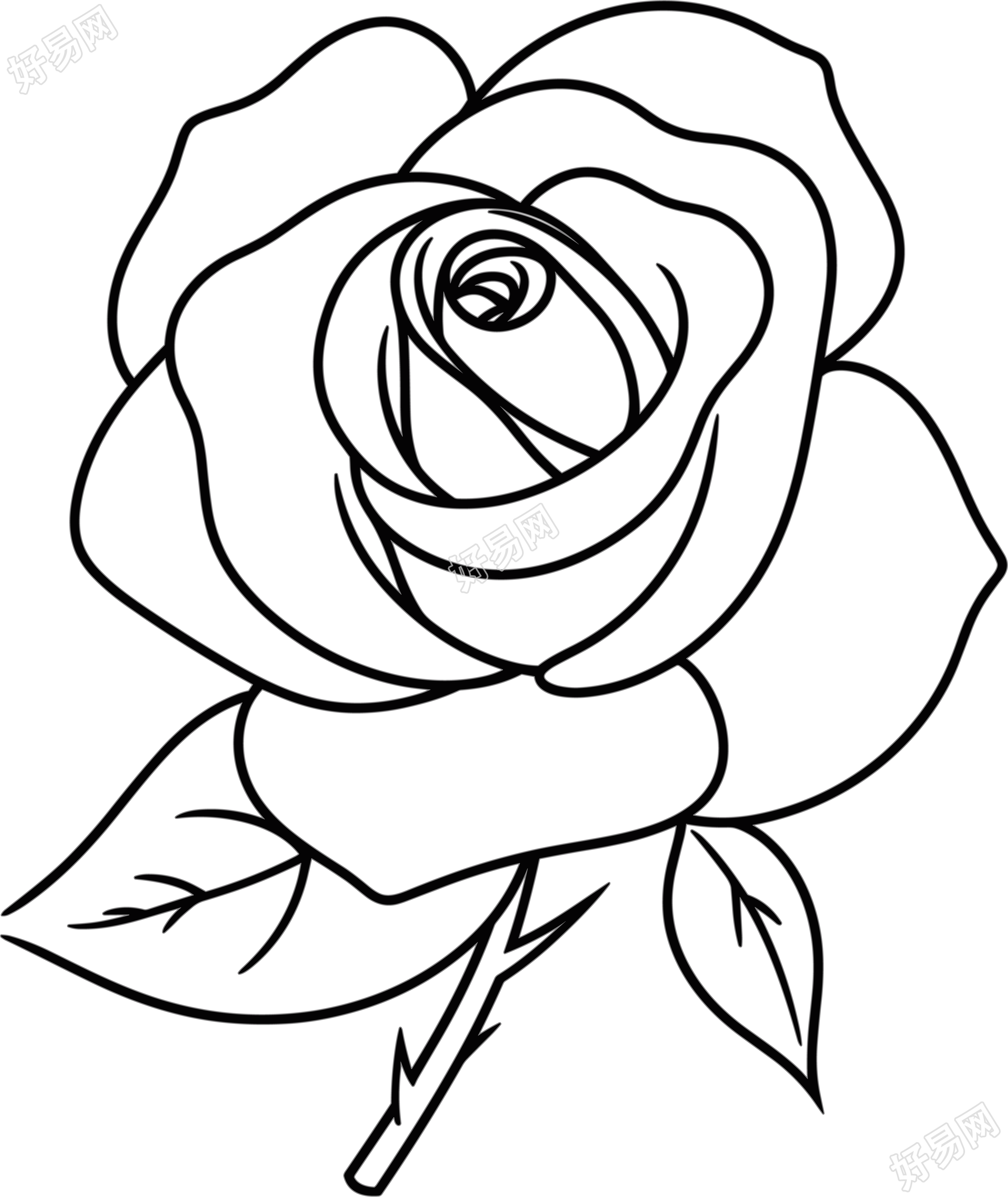 线条玫瑰花商用设计元素