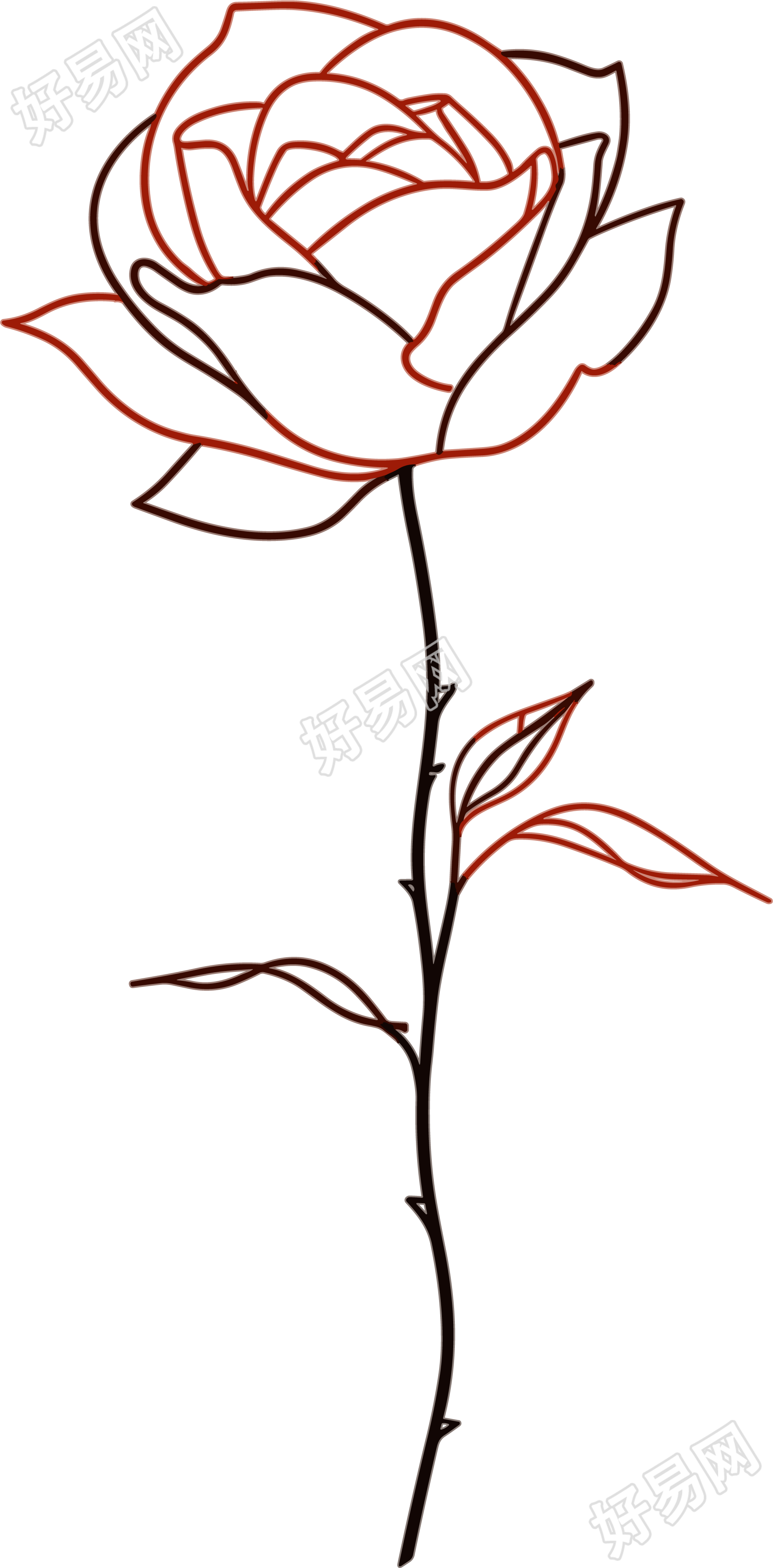 线条玫瑰花商业插图