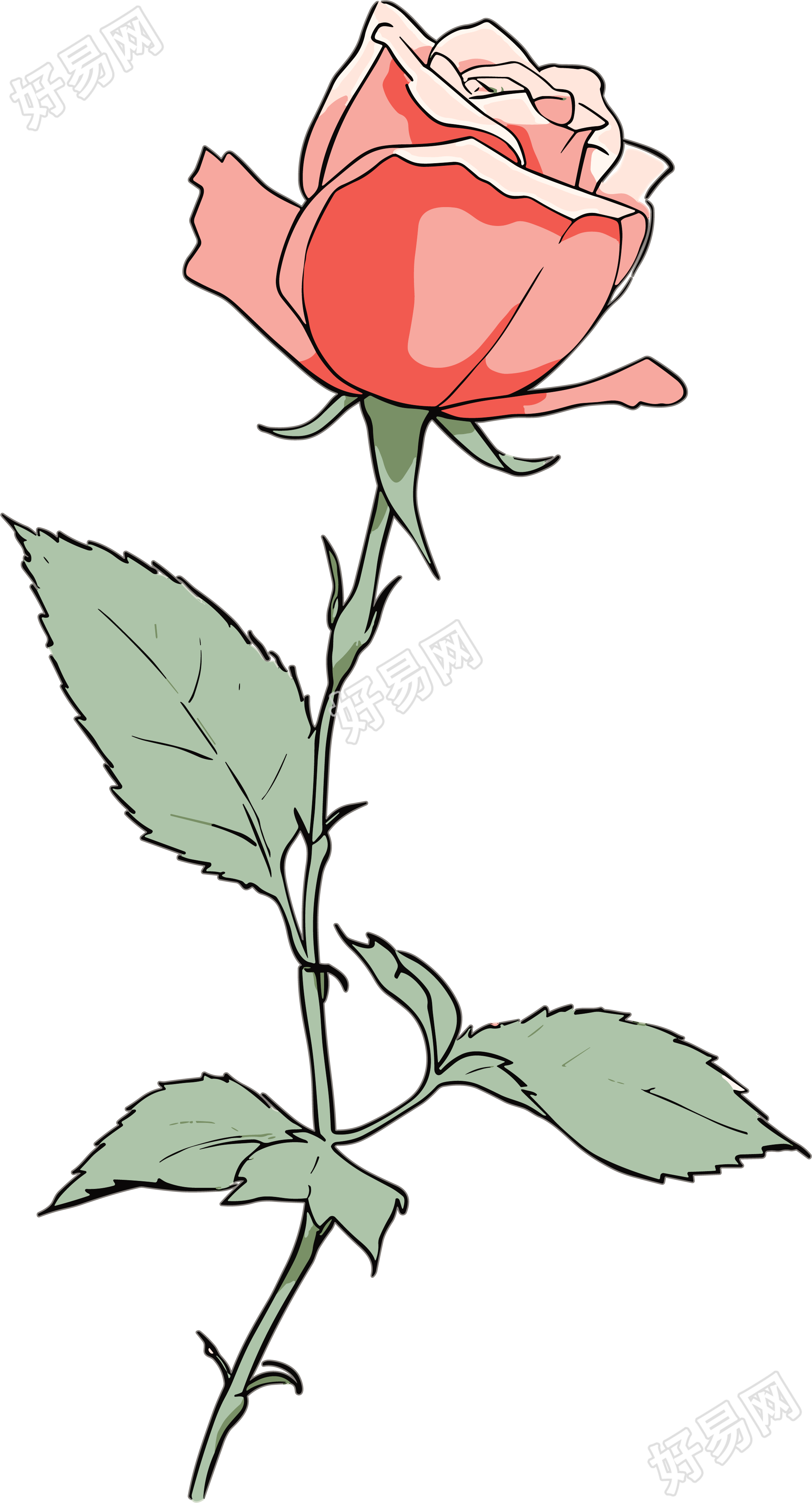 一朵玫瑰花绘画素材