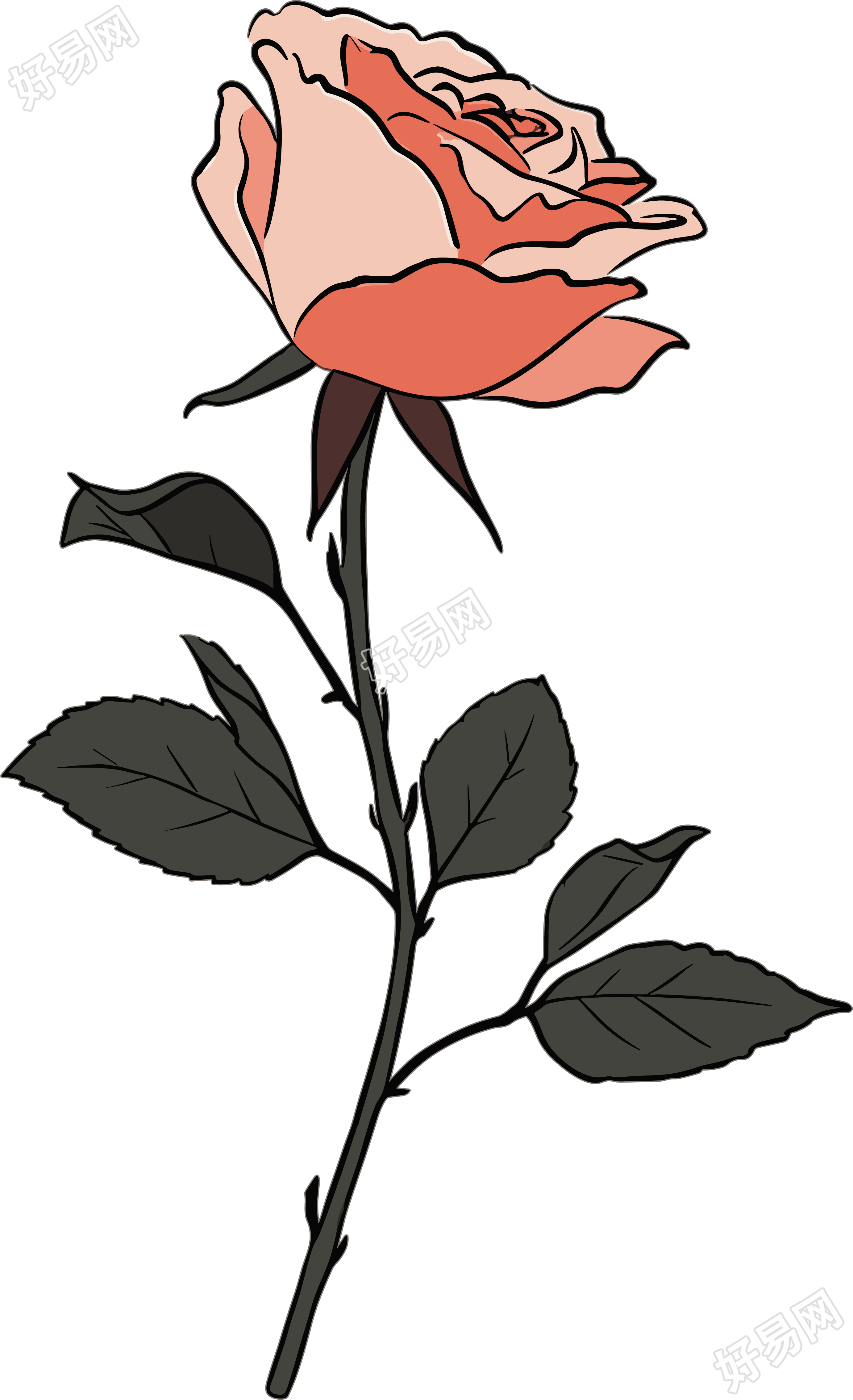 一朵玫瑰花图形设计元素